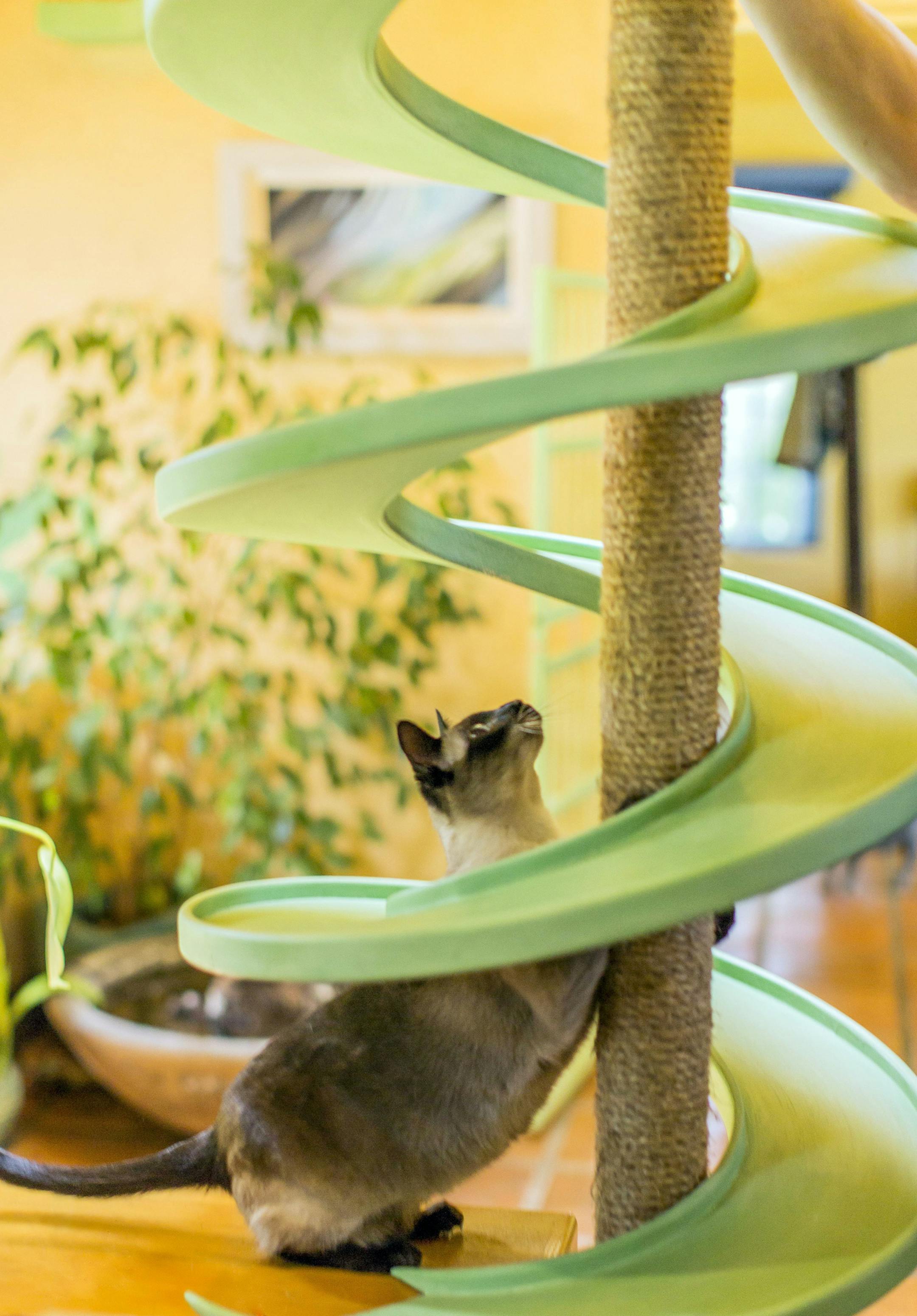 This photo provided by Tarcher Perigee, shows a spiral catwalk complete with scratching pole in the book, "Catify to Satisfy: Simple Solutions for Creating a Cat-Friendly Home by Jackson Galaxy and Kate Benjamin. Whether it's a new kitten, an older rescue or an addition to your cat family, choosing just the right gear and tweaking your home is key to keeping felines safe, sane and stimulated. (Jeff Newton/Tarcher Perigee via AP)