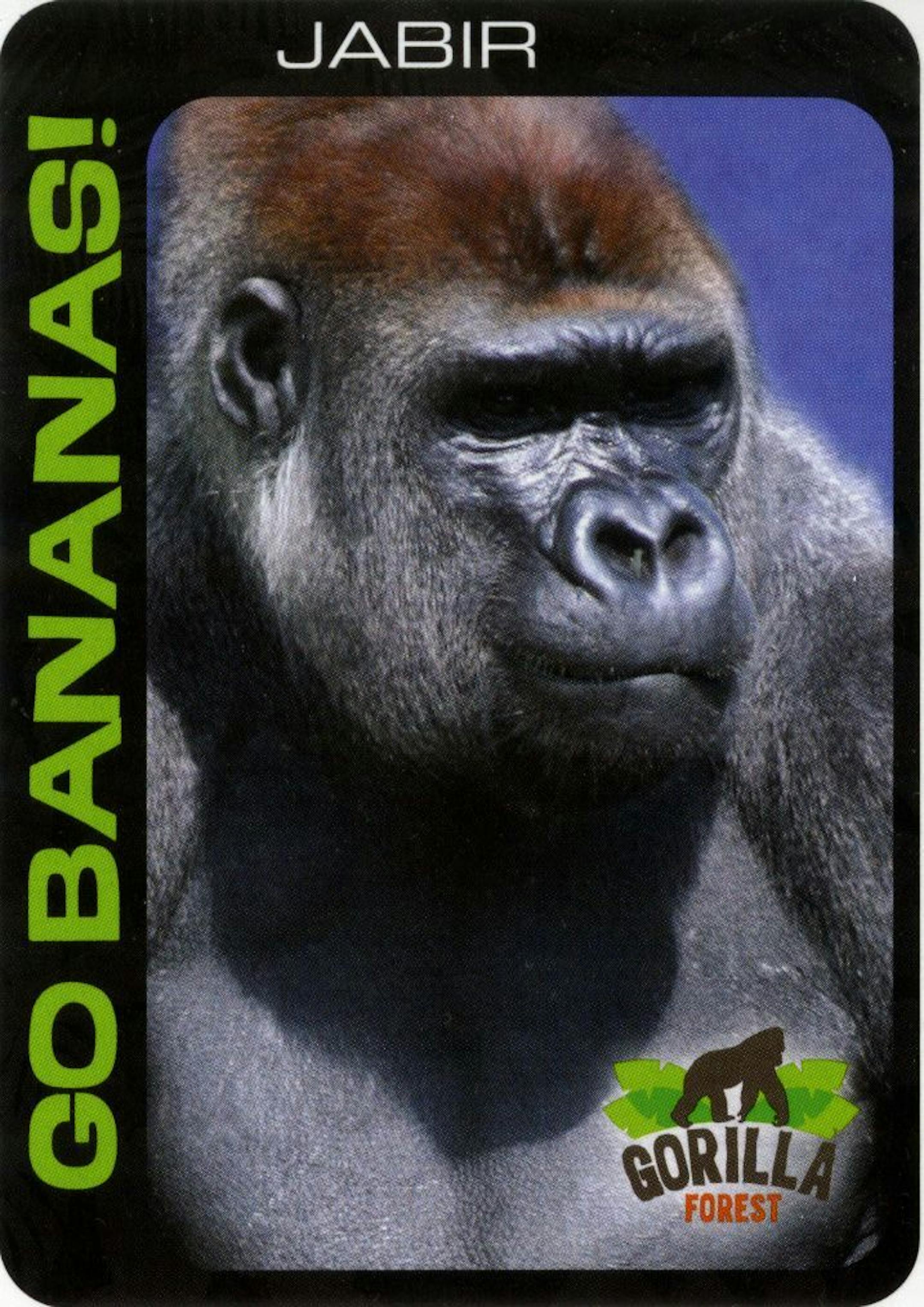 New Como Zoo exhibit, june 2013