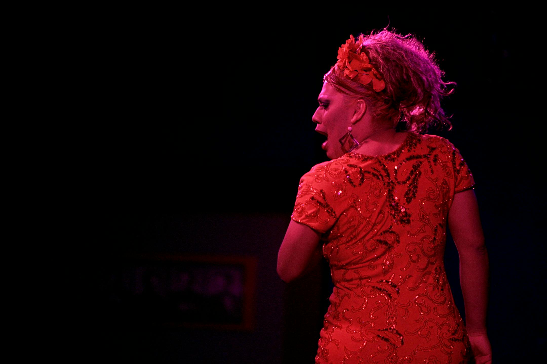 "Salma," performed a song by lip-syncing a hit song by Mexican musician Amanda Miguel at The Saloon Minneapolis during a specialty show for gay Latino men called "Fiesta Latino." "Salma," once crowned "Miss Diva Latina," usually sings songs by Latino artists such as Jennifer Lopez, Selena, Amanda Miguel, and Laura Leon. He has been performing and running the event for almost four years. The event has been in existence for several years at The Saloon Minneapolis.