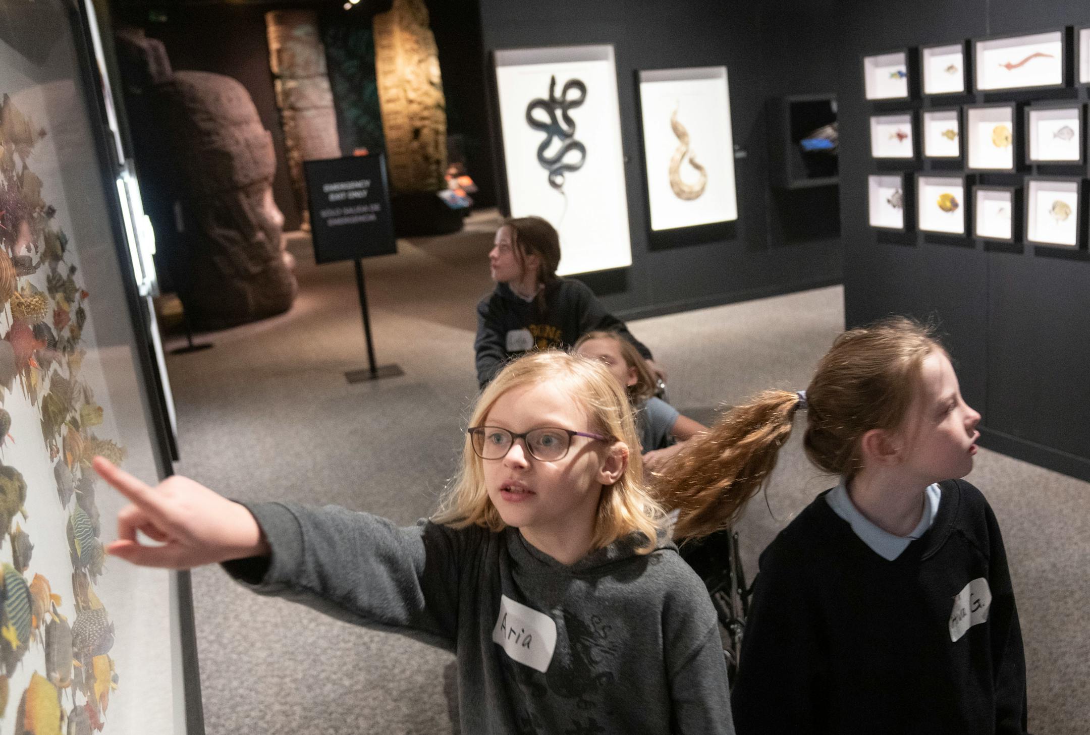 Aria Mechtenberg points at tropical fish on display in the Exquisite Creatures exhibit.