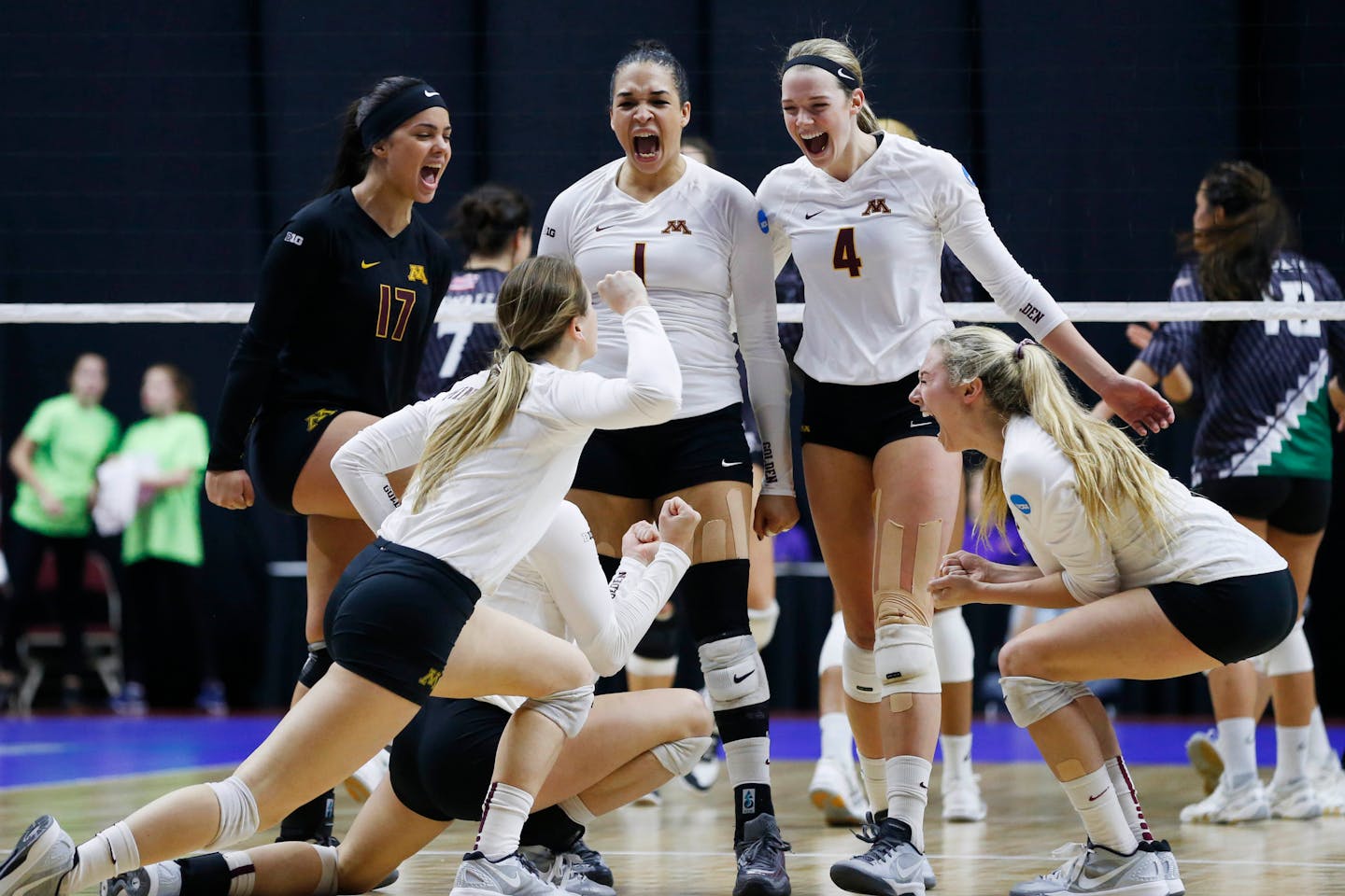 Members of the Minnesota team celebrate as they clinch the win over Hawaii Saturday, Dec. 12, 2015, during the NCAA Division I Women's Volleyball Championship in Des Moines. (The Des Moines Register, Michael Zamora/The Des Moines Register via AP)