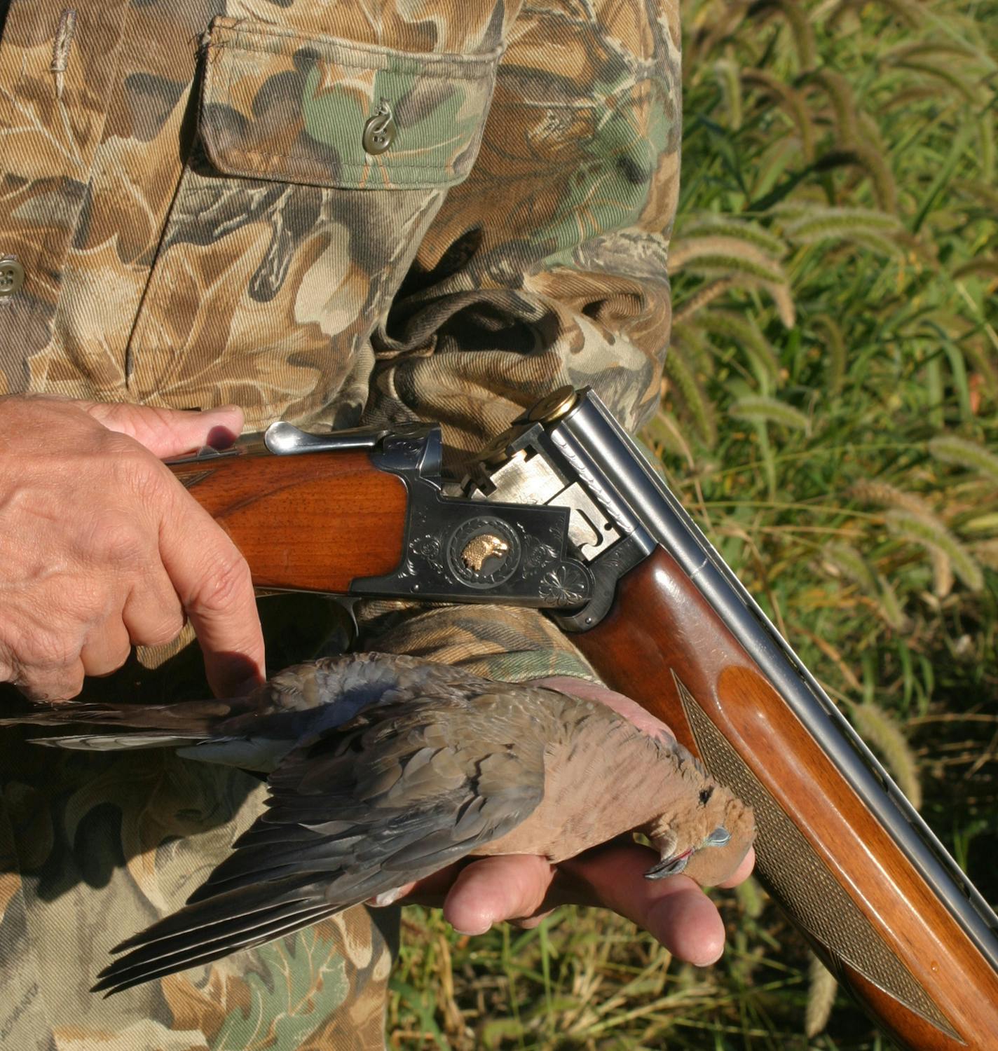 Doug Smith/Star Tribune The DNR's John Guenther holds a dove he bagged during a dove hunt in western Minnesota in September 2005.