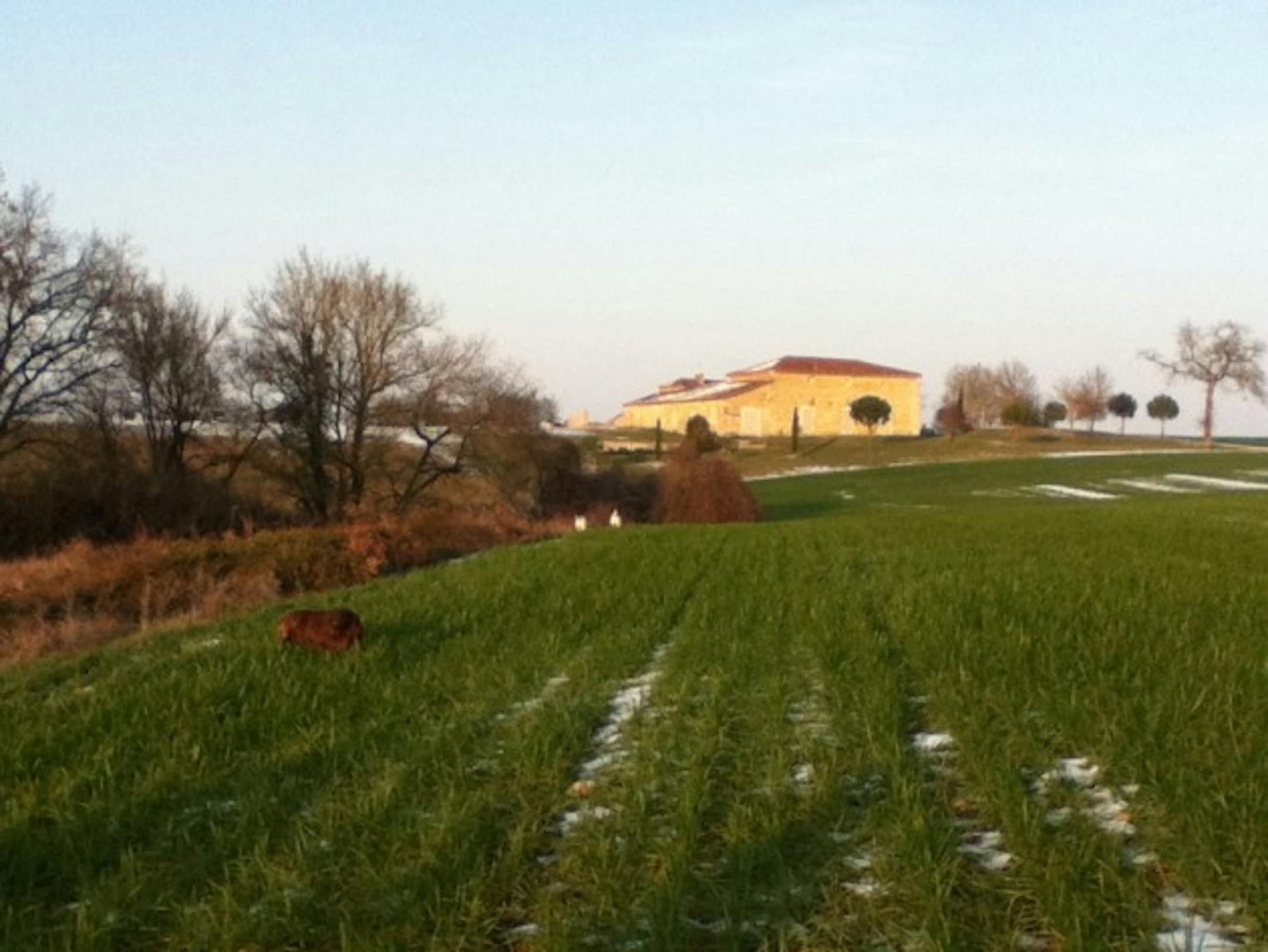 A nearby chateau.