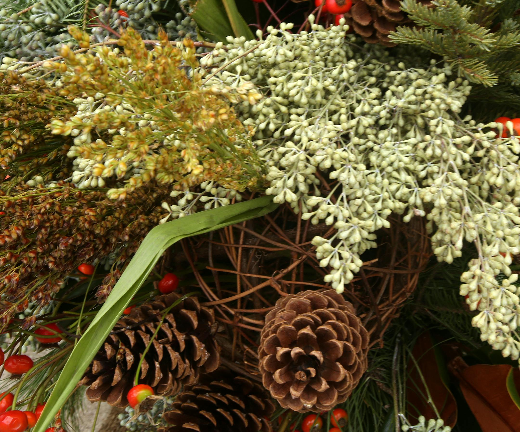 Detail of an outdoor container by Larry Pfarr in Minneapolis, MN on November 8, 2013. ] JOELKOYAMA‚Ä¢joel koyama@startribune Larry Pfarr will decorate several outdoor containers to transition from Thanksgiving thru the holidays and into the new year.
