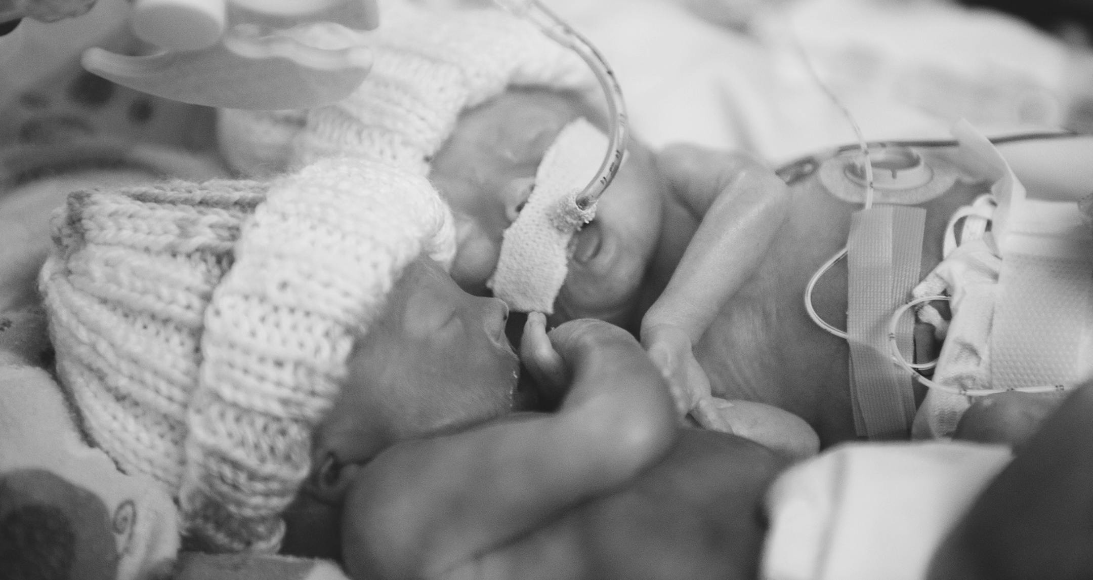 Margaret Susan and Abigail Kathleen Fanucci, age 1 day