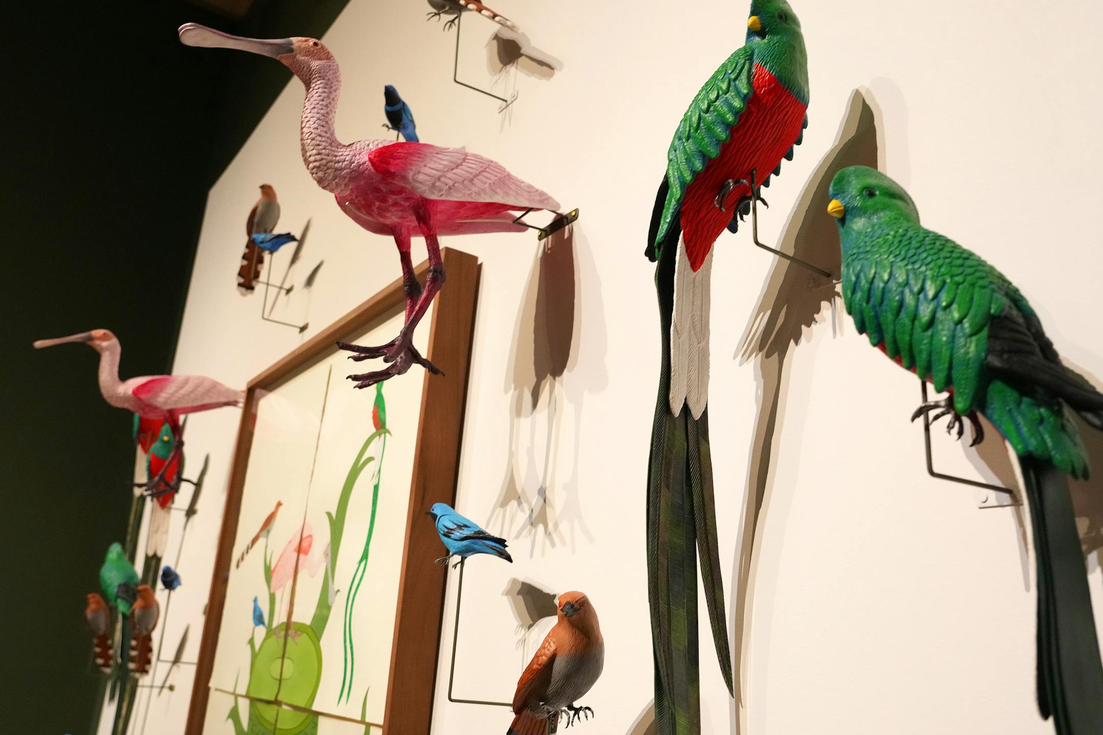 Ceiba Sagrada (Sacred Ceiba) by Eduardo Sarabia depicting a set of 26 red clay, white ceramic, fiberglass, and cast-metal birds occupies a wall in the new ReVisión: Art in the Americas exhibit during a press preview Thursday, June 29, 2023 at the Minneapolis Institute of Art in Minneapolis. ] ANTHONY SOUFFLE • anthony.souffle@startribune.com