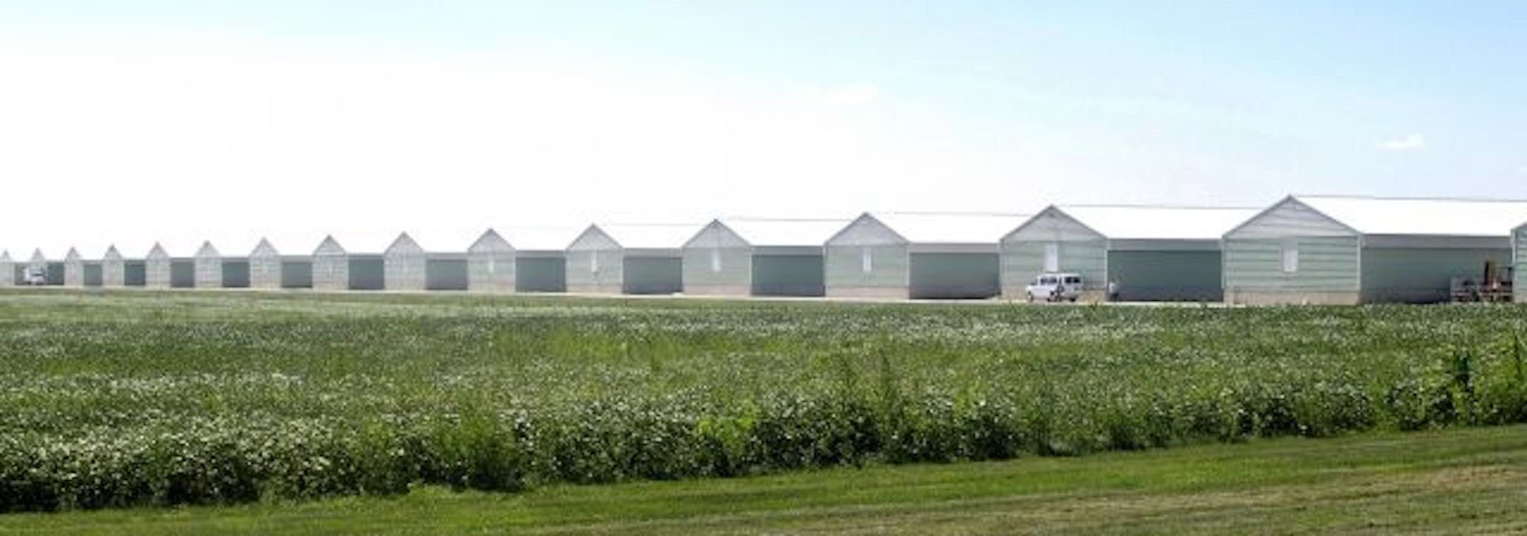 One of the chicken confinement sites operated by Wright County Egg in Galt, Iowa. Wright recalled 380 million eggs this month, and said it was working on the problems cited by the FDA after it inspected 73 barns at five farm sites.