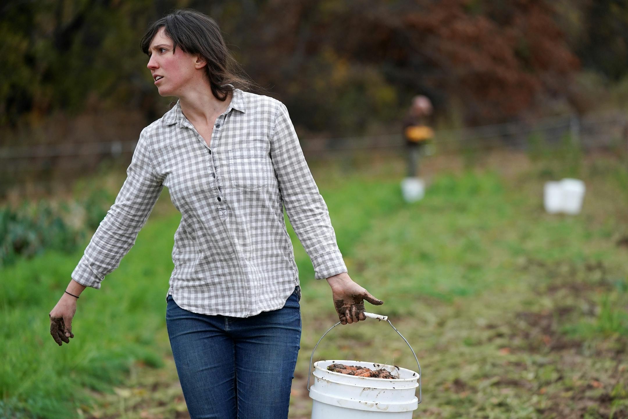 Vegetable farmer Kristin Pearson carried a bucket of harvested carrots back to her tuck for washing at her rented land.