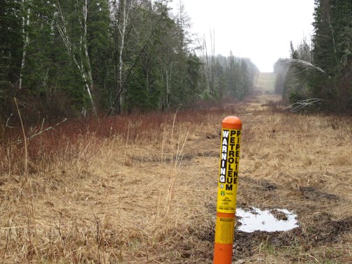 Enbridge Energy proposes to build the Sandpiper crude oil pipeline partly along a path through northern Minnesota occupied by three piplines owned by another company. This is a view of the right-of-way near Park Rapids, Minn.