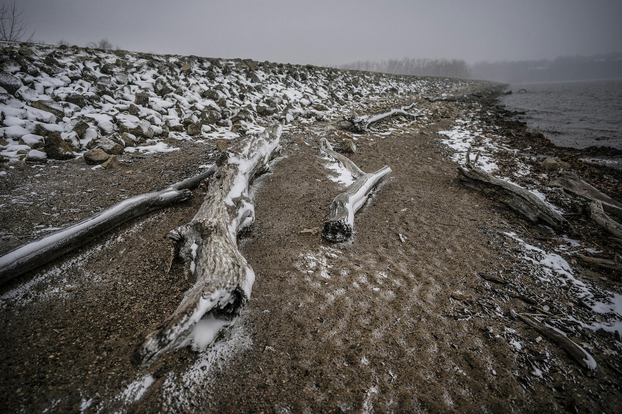 Driftwood on then shoreline of lock and dam # 2 in Hasting near the site where a proposed 40-acre island will be constructed to block the wind and protect the shoreline from erosion.