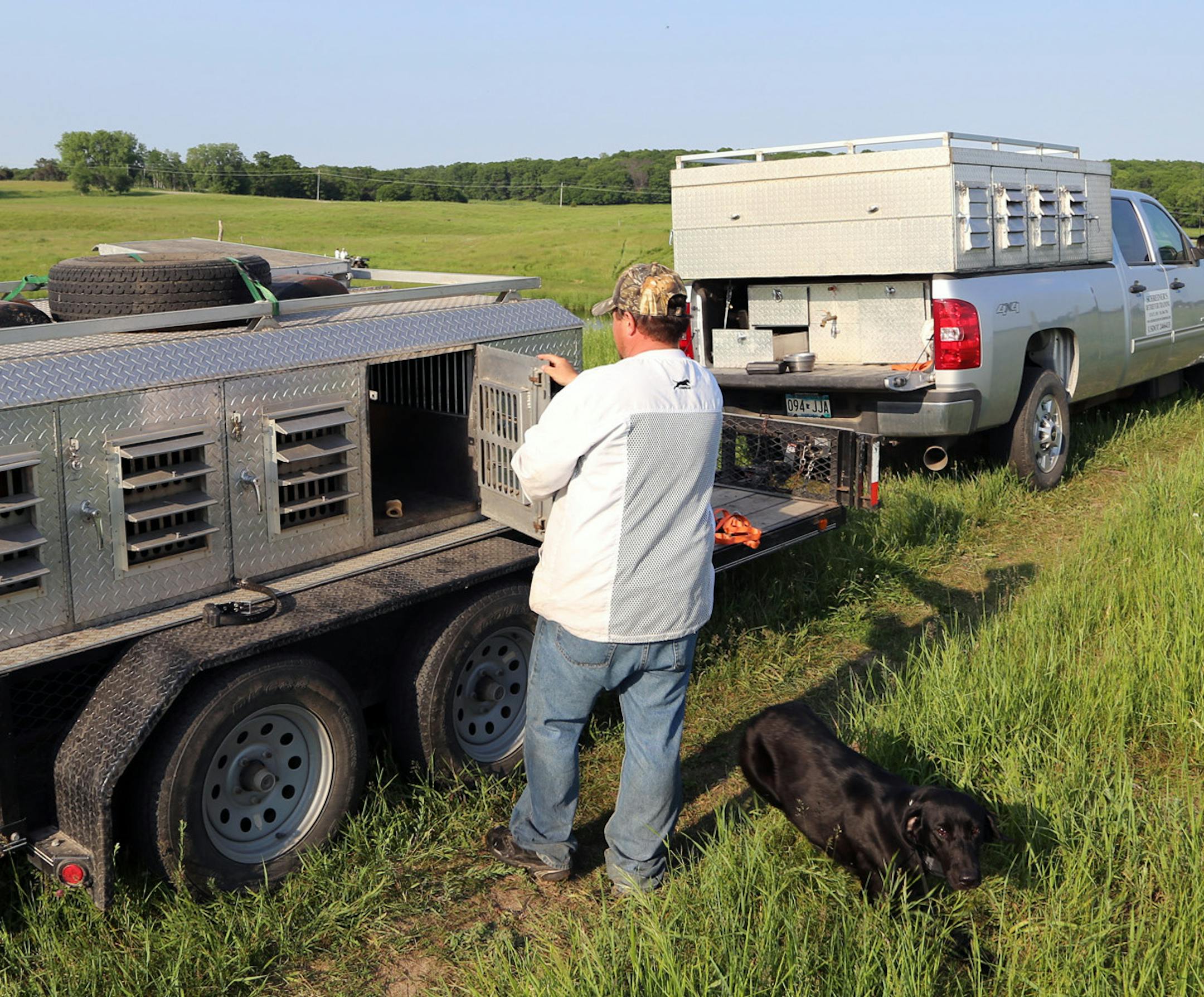 Professional retriever trainer Greg Schreiner of Stacy, Minn., might have 15 dogs under his tutelage at any given time. He trains in Minnesota in Summer and in Texas in winter. "Retriever training is addictive,'' he said.