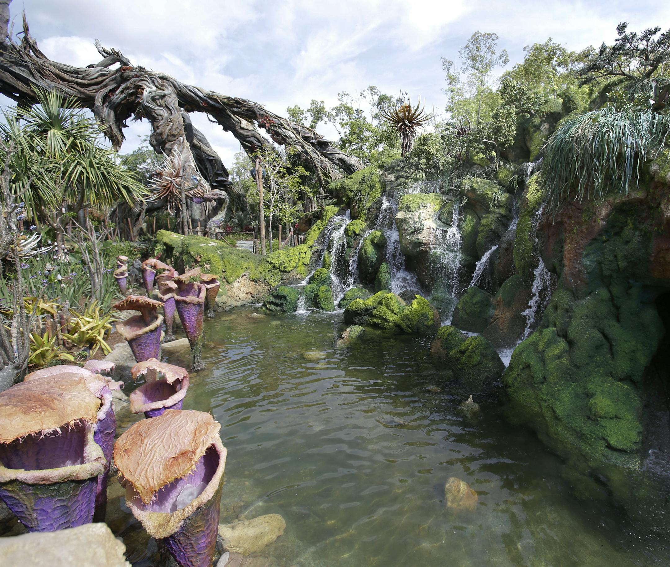 FILE - In this April 29, 2017, file photo, landscaping consisting of real Earth plant species mixed with sculpted Pandora artificial flora is surrounded by ponds and gentle waterfalls at the Pandora-World of Avatar land attraction in Disney's Animal Kingdom theme park at Walt Disney World in Lake Buena Vista, Fla. The 12-acre land, inspired by the "Avatar" movie, opens in Florida at the end of May at Walt Disney World's Animal Kingdom. It cost a half-billion dollars. (AP Photo/John Raoux, File)