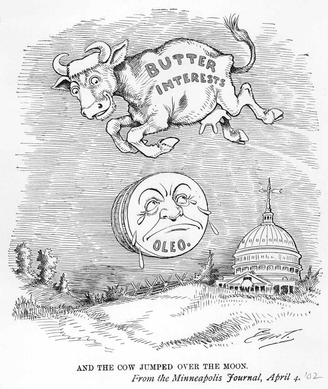 Cartoonist Charles Bartholomew's take on the butter vs. margarine debates. This cartoon appeared in the Minneapolis Journal in 1902.