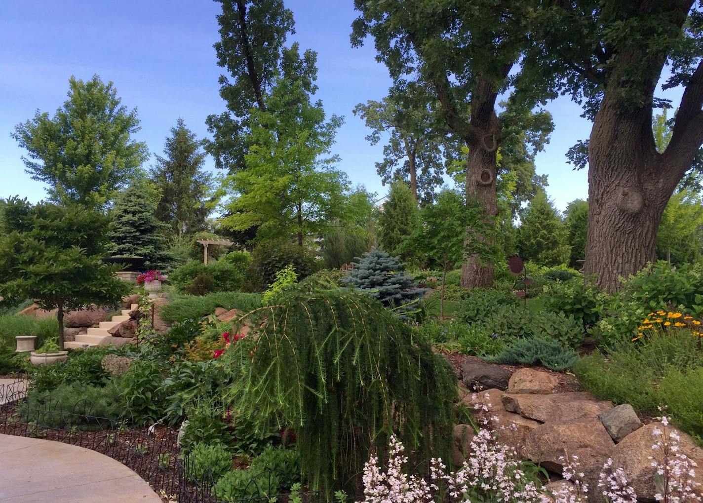 Garden redux: Cyndi and Paul Maas built their Medford garden twice.