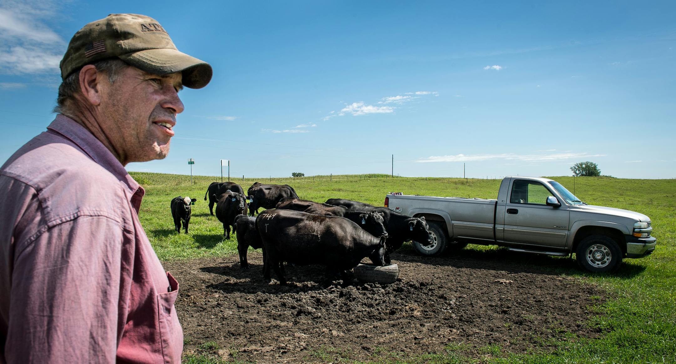 Dan Jenniges, of Glenwood, Minn., scanned the horizon for a missing bull on one of his rented pastures, one of only two pastures he uses that is not rotationally grazed. ] (AARON LAVINSKY/STAR TRIBUNE) aaron.lavinsky@startribune.com RIVERS PROJECT: We look at three of Minnesota's rivers, including the Mississippi, Red and Chippewa, to see how land use effects water quality and pollution.