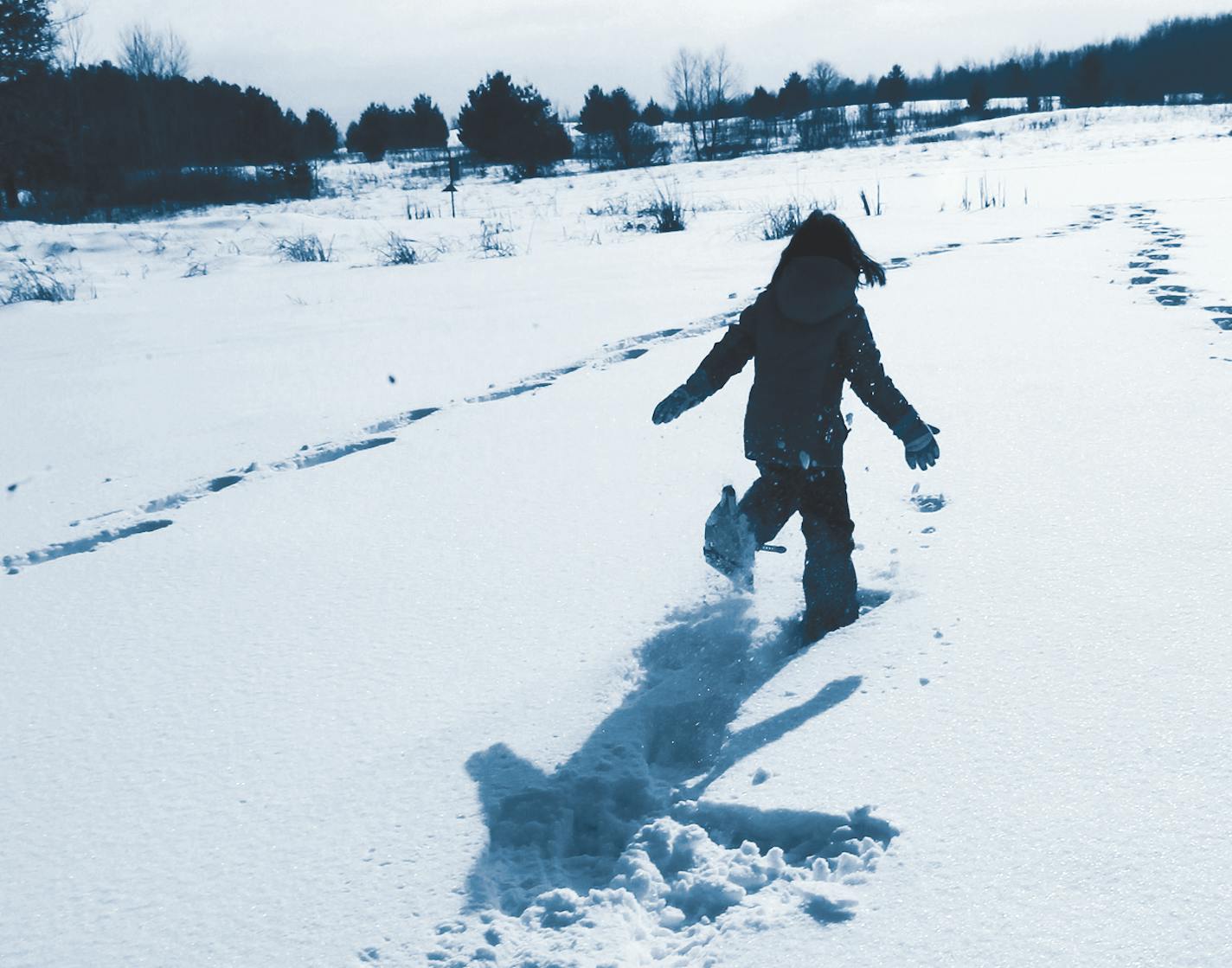 Cutting a path by snowshoe.