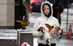Mary-Kate McCarthy held her dog, Henry, to protect his feet from sidewalk and road salt put down Friday in downtown Minneapolis after the big overnigh