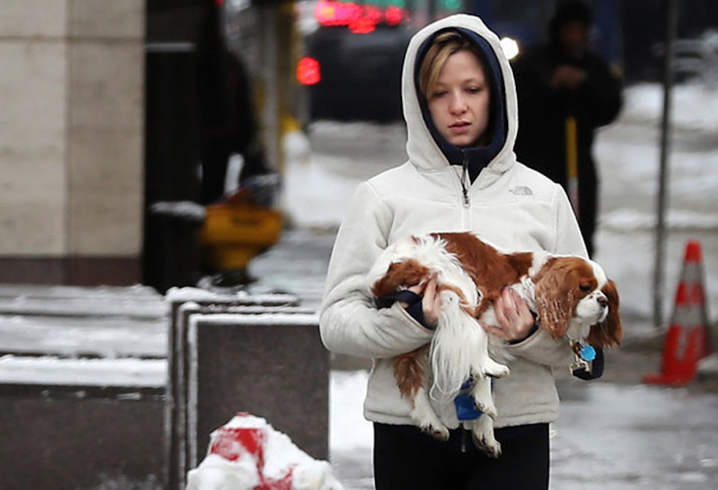 Mary-Kate McCarthy held her dog, Henry, to protect his feet from sidewalk and road salt put down Friday in downtown Minneapolis after the big overnight snowfall. More is coming Saturday.