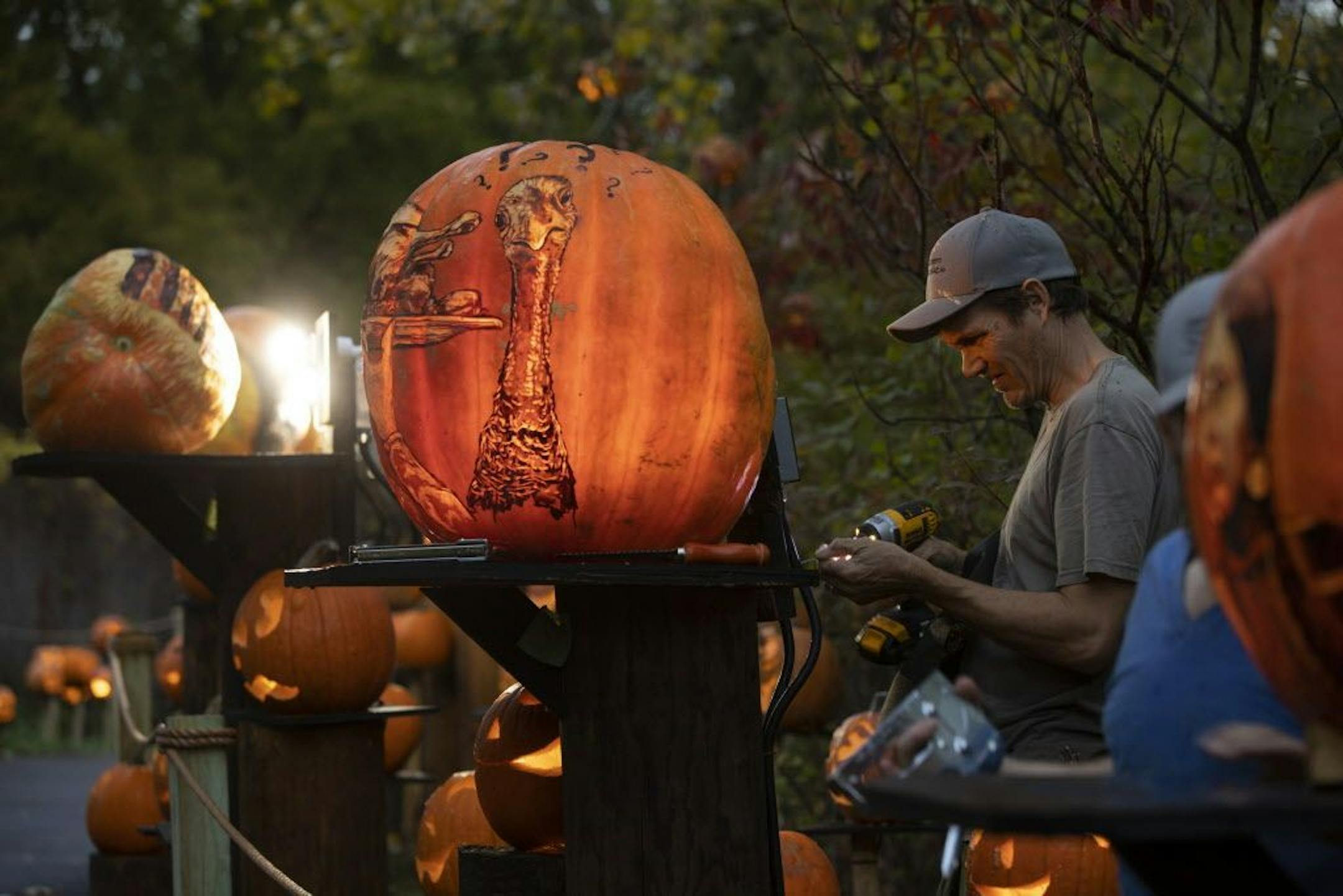 As darkeness fell, Travis Reckner mounted and LED light source onto the back of one of the 127 "intricate" carved pumpkins scattered along the trail. It can take as long as eight hours to carve the more elaborate pumpkins.