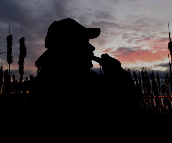 Minnesota waterfowl hunters will see an August Canada goose hunt, along with higher possession limits.