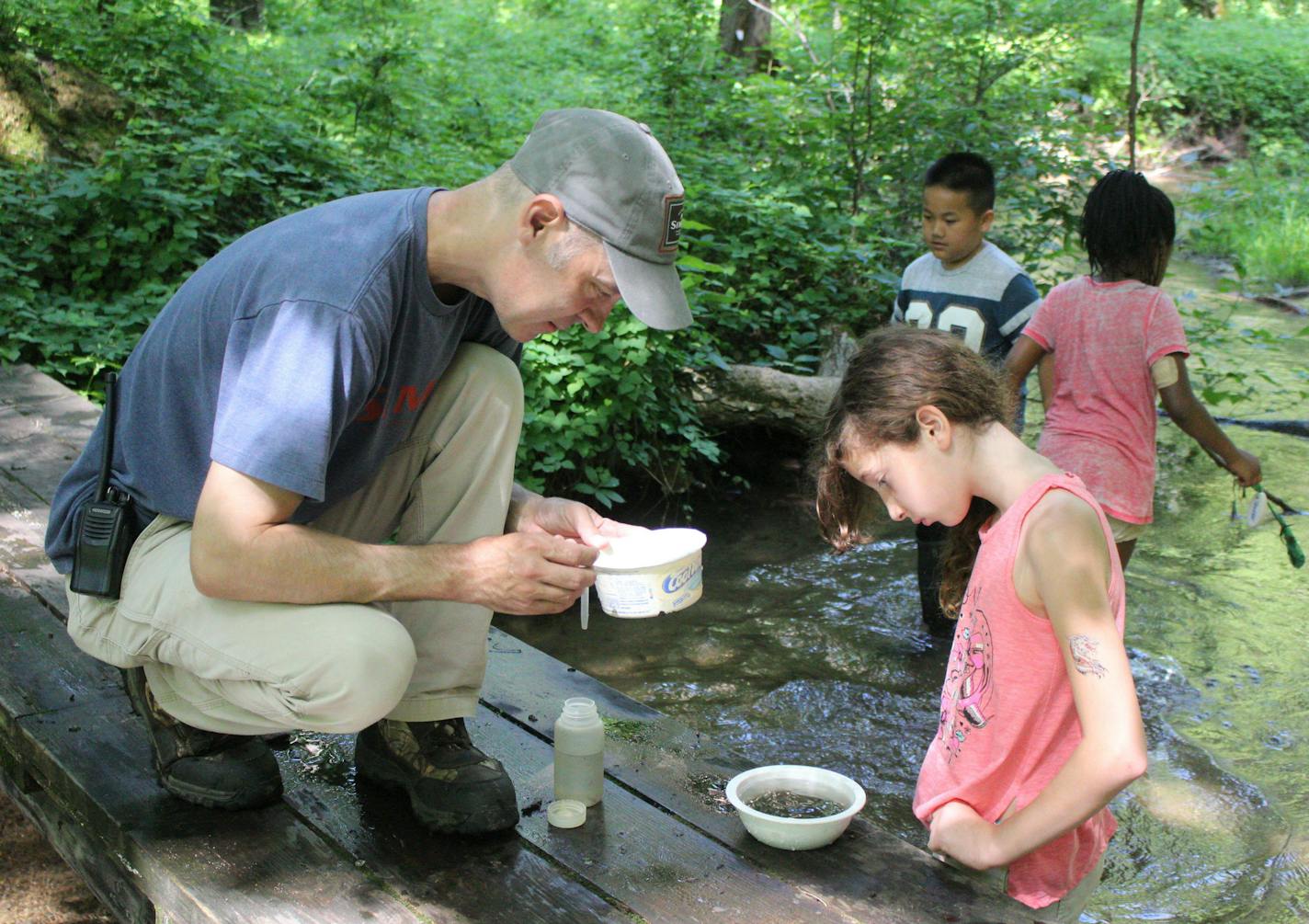 Madeline Happold &#xef; madeline.happold@startribune.com
Geoff Urban, an educational assistant at the Belwin Conservancy, shows St. Paul Public School students microorganisms at the Belwin Summer Program, where the group spent the morning exploring wetlands.