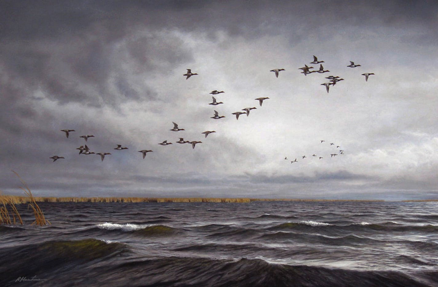 copy of original art bt Robert Hautman - " Big Water Canvasbacks"