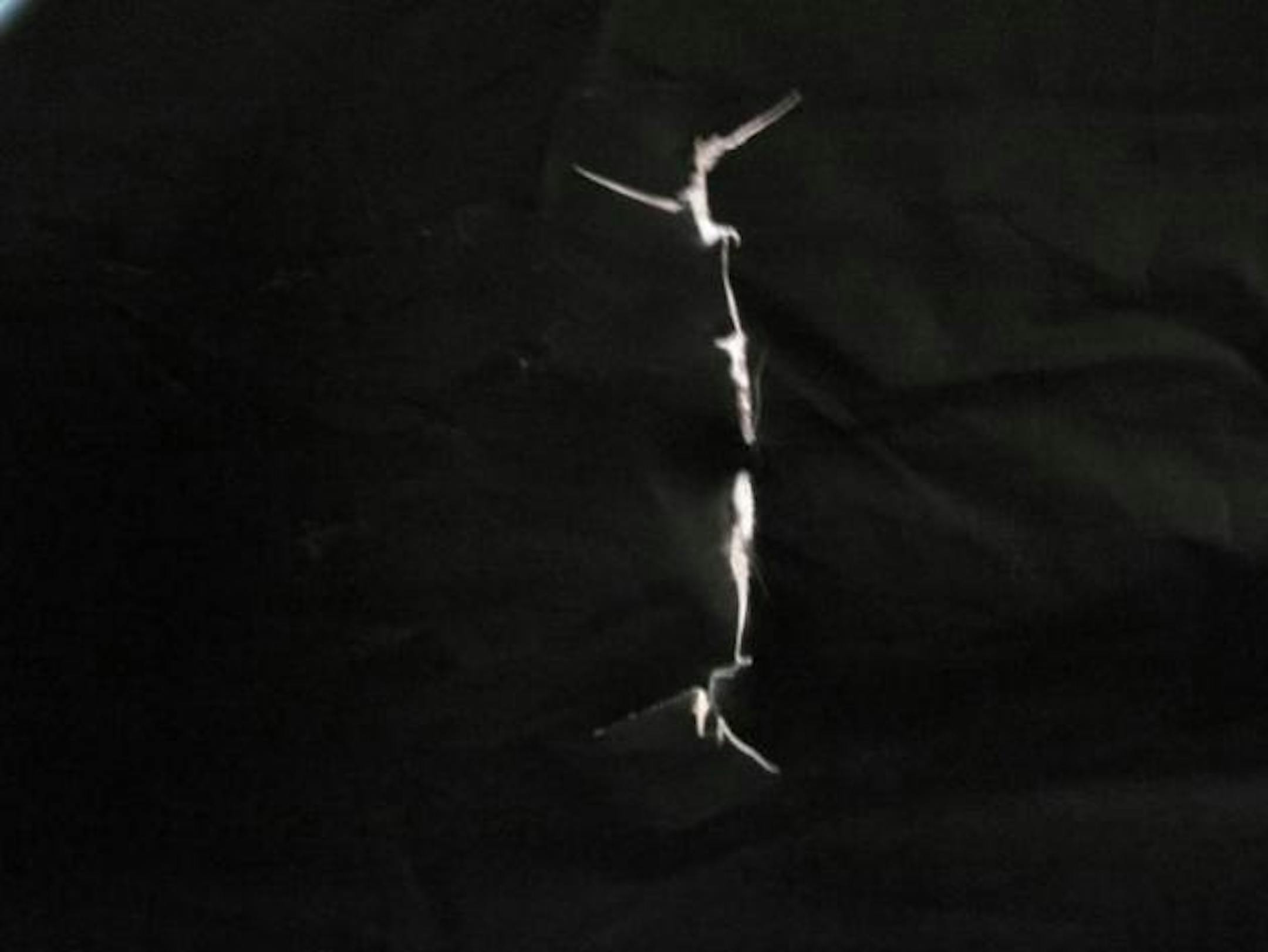 Arrow hole through the window flap.