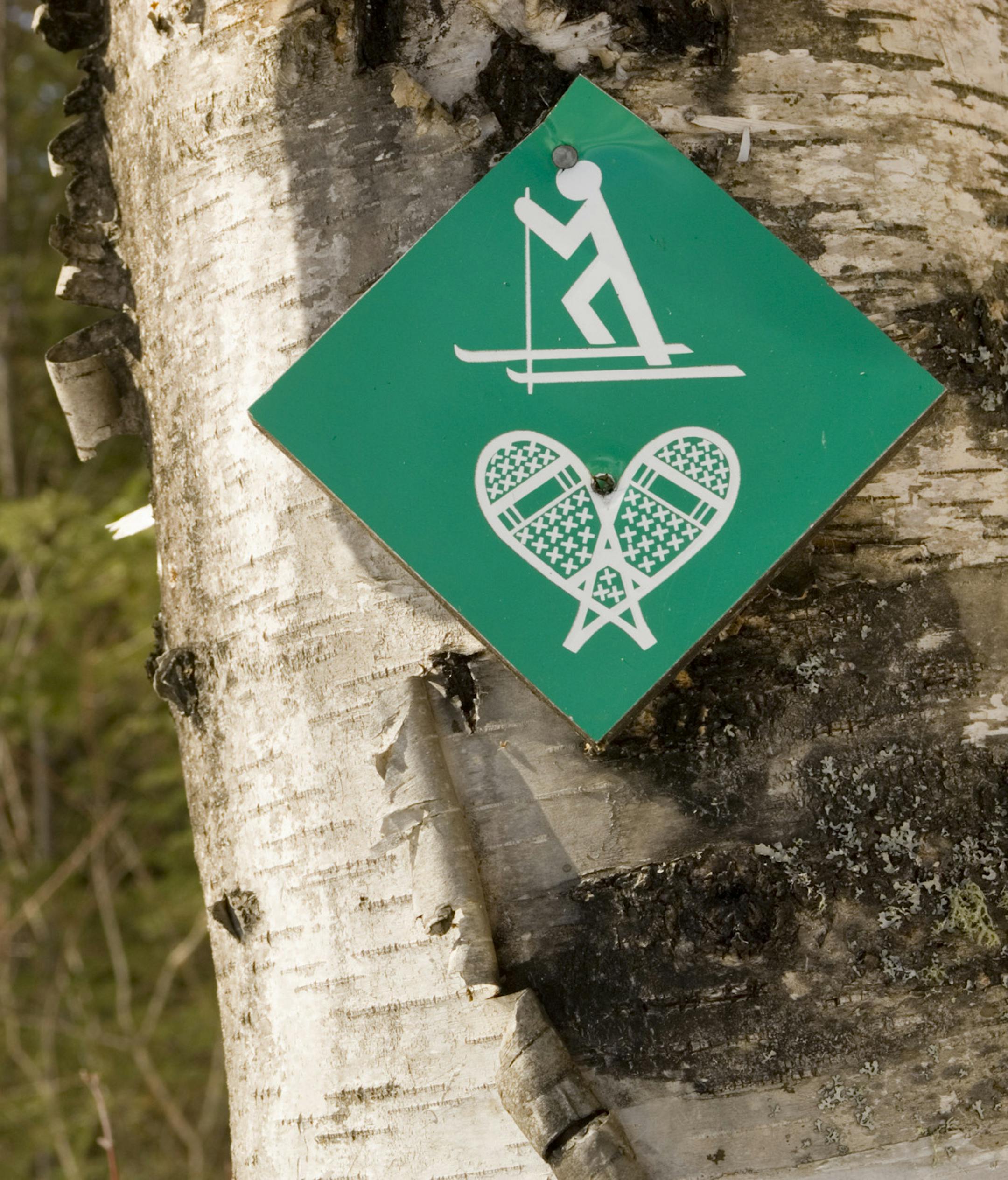 PHOTO BY TOM THULEN. Cross country ski and snowshoe trail marker, Snowshoe Country Lodge, Isabella, Minnesota