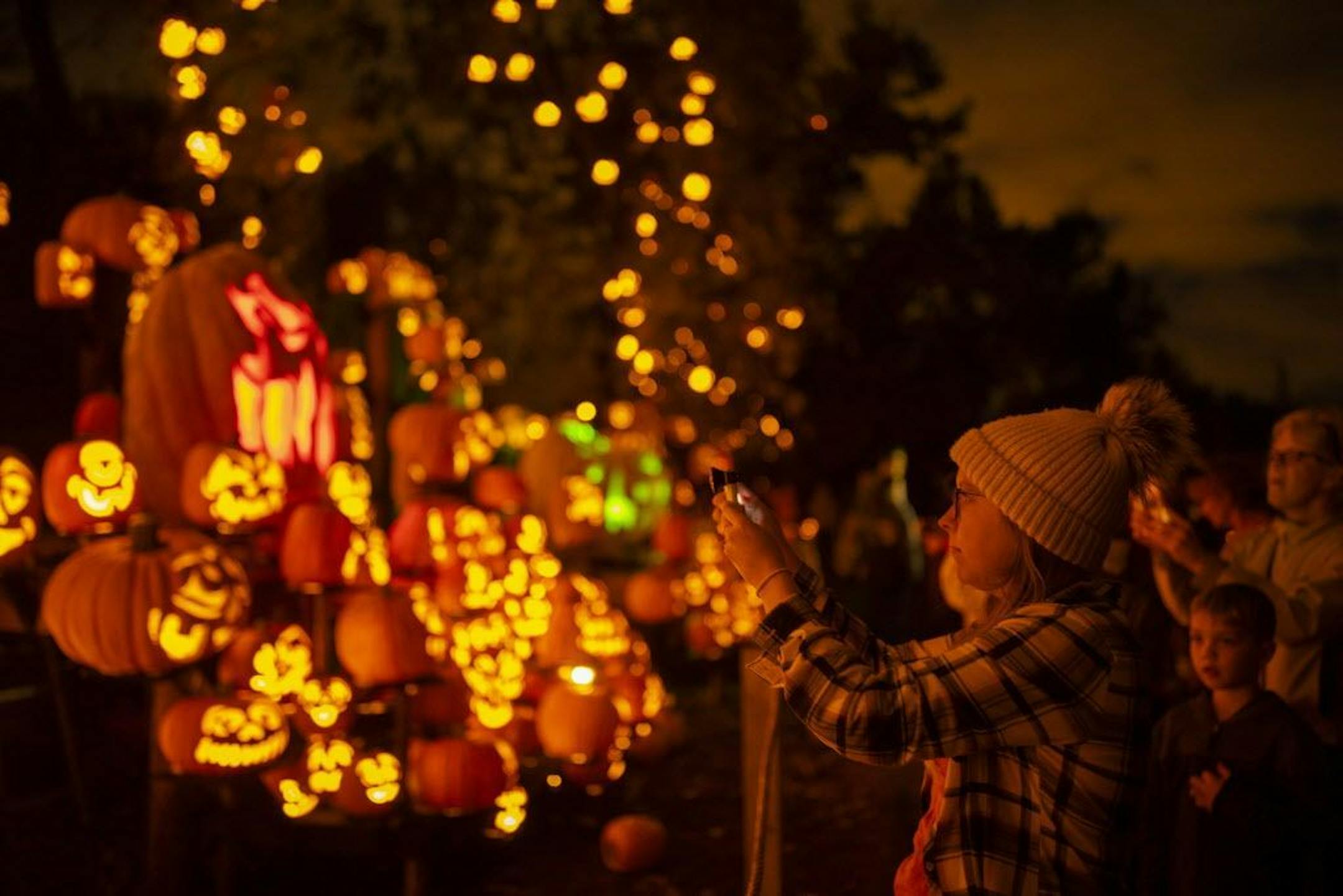 Heidi Paltzer joined the visitors who photographed one of the displays during the preview for the Jack-O-Lantern Spectacular Wednesday night at the Minnesota Zoo.