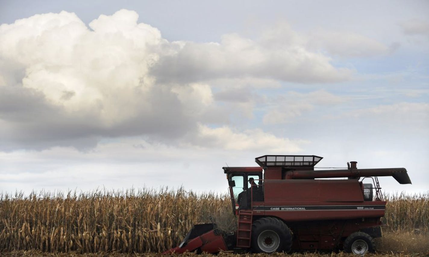 In this photo taken Sept. 22, 2011, Tim Smith of Mackinaw, Ill., works a corn field east of Mackinaw. Illinois' state crop report Monday, Sept. 26, 2011, finds that the Illinois corn yield for September is down due to "exceptionally hot weather" while much corn was pollinating. The report shows that the Illinois corn harvest is 22 percent complete. Last year at this time it was 54 percent finished.