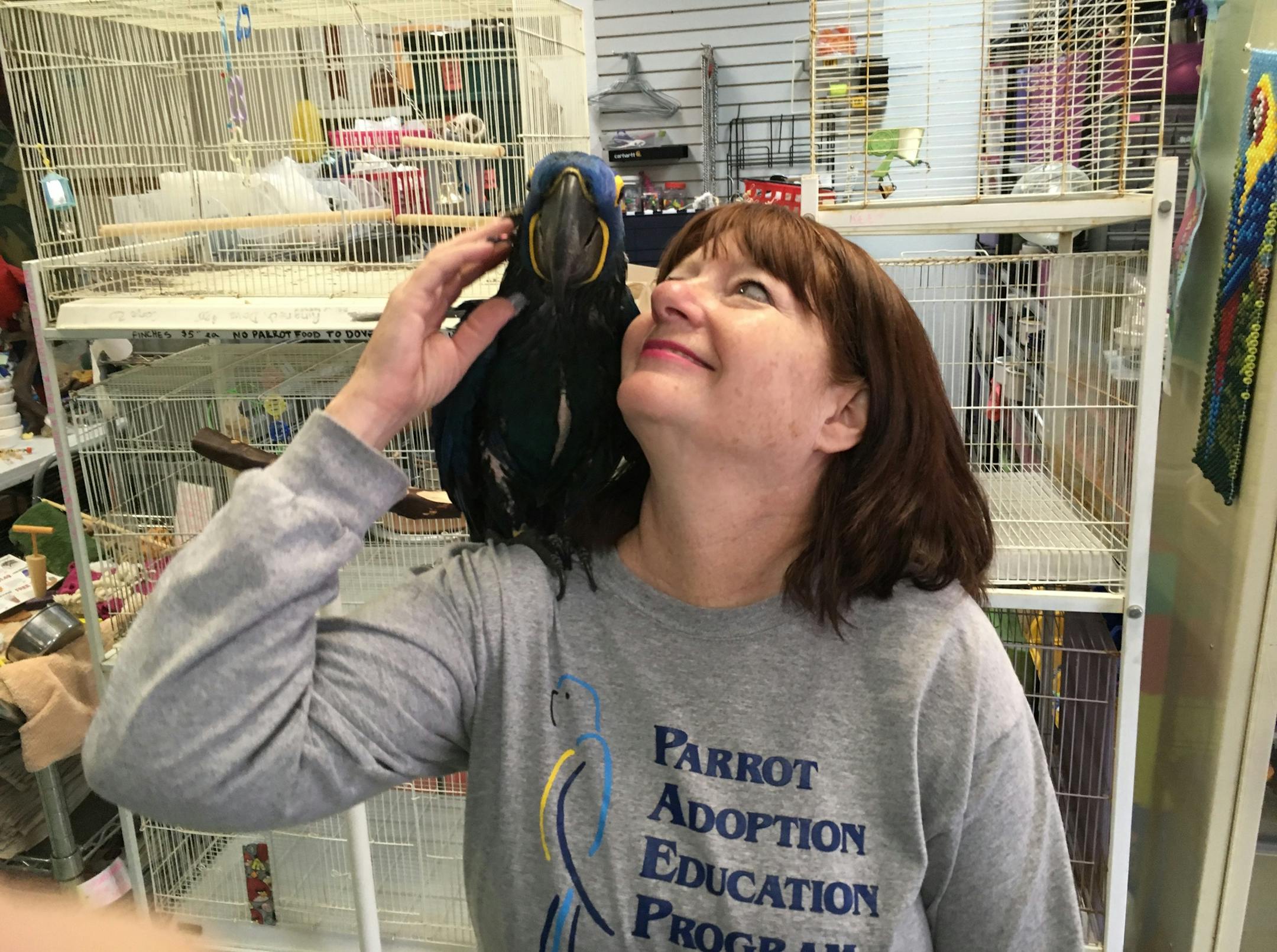 Shelter director Renee Quimby, with Myla, said "the bird has to like the owner" before it can be successfully adopted.