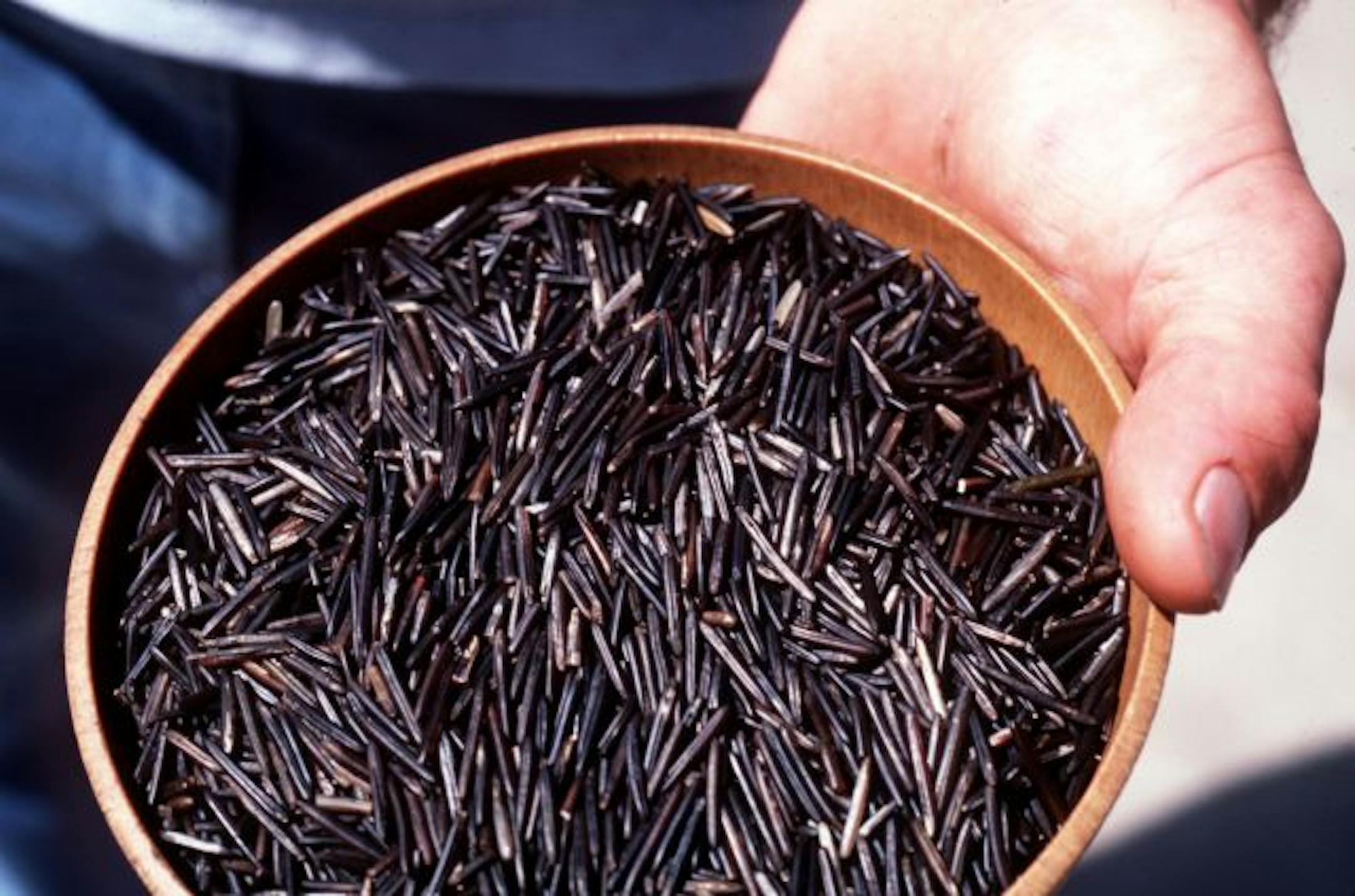 wild rice