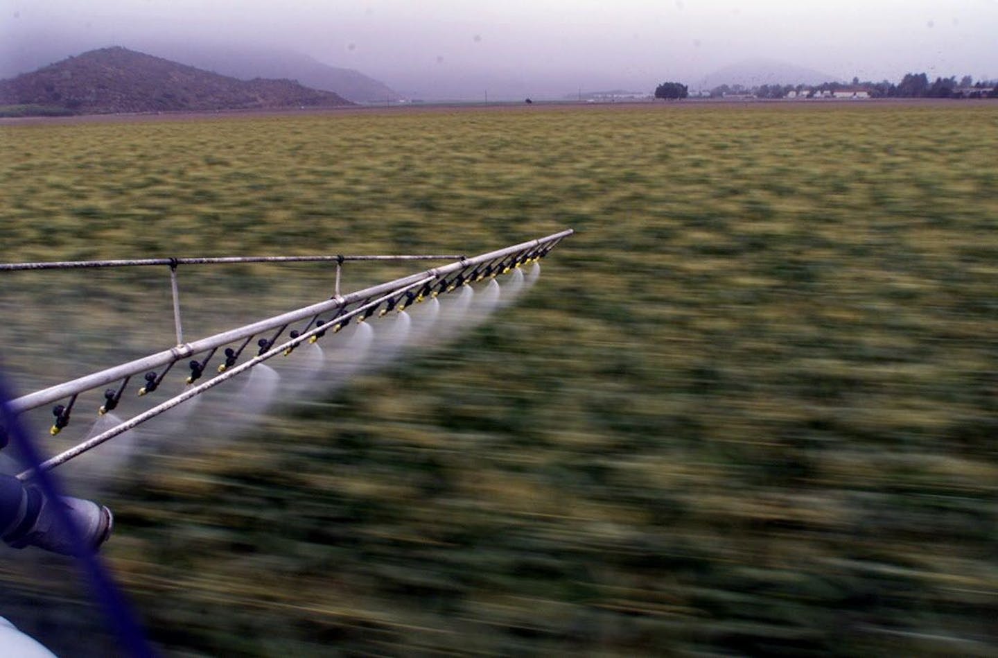 Cropdusting a field of corn in Camarillo, Calif., in a 2001 file image. A three-judge panel of the U.S. 9th Circuit Court of Appeals has given the U.S. Environmental Protection Agency 60 days to ban chlorpyrifos, a pesticide initially developed as a nerve gas during World War II.