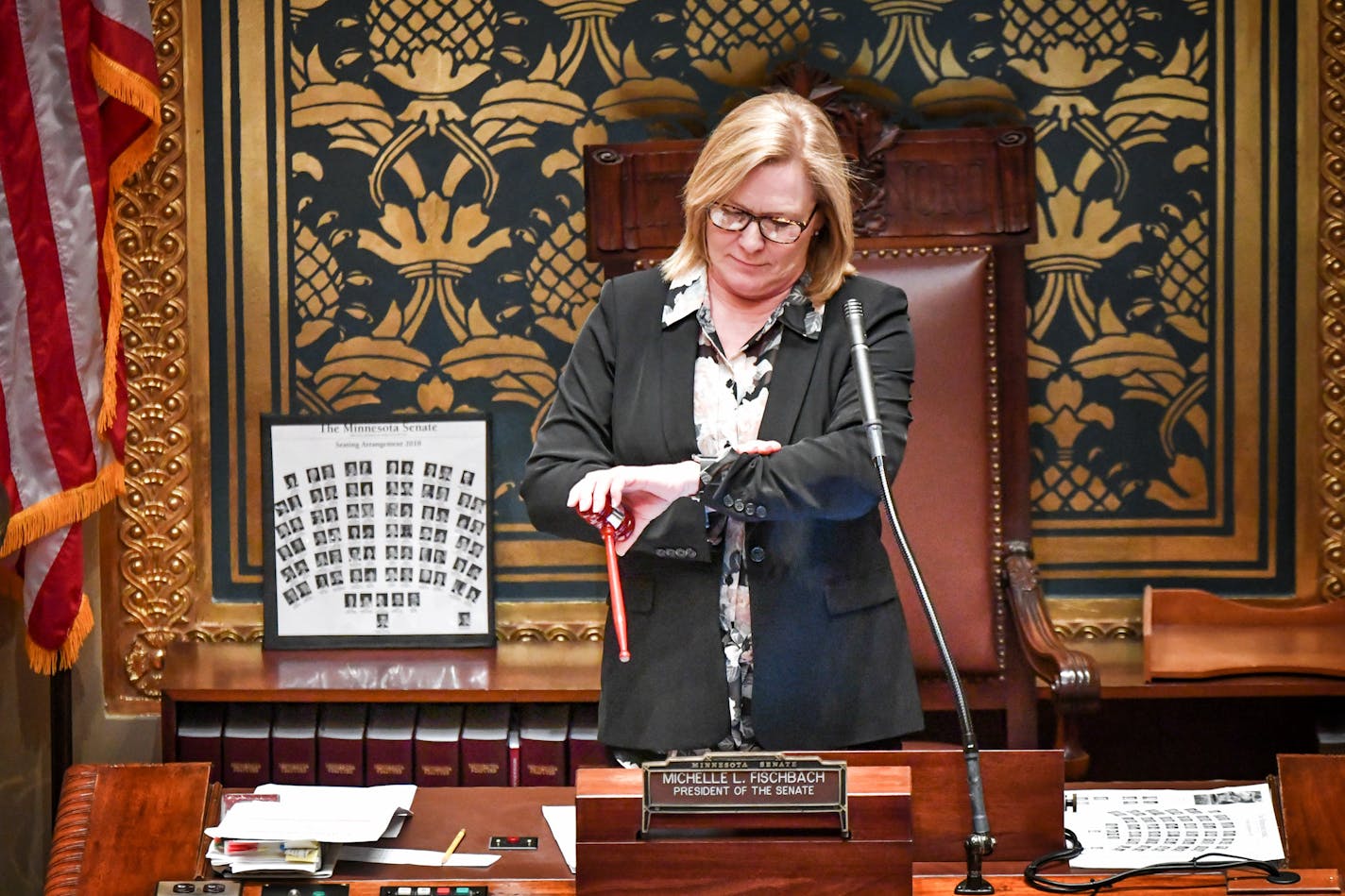 Lt. Gov. Michelle Fischbach checked her watch 15 seconds before noon, the start of the session.