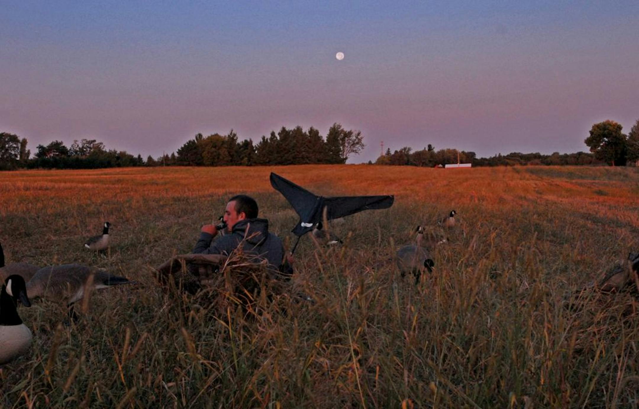 As the sun rises behind him, and beneath a full moon just setting, Holt Watson of Stillwater calls and "flags'' geese in the far distance.