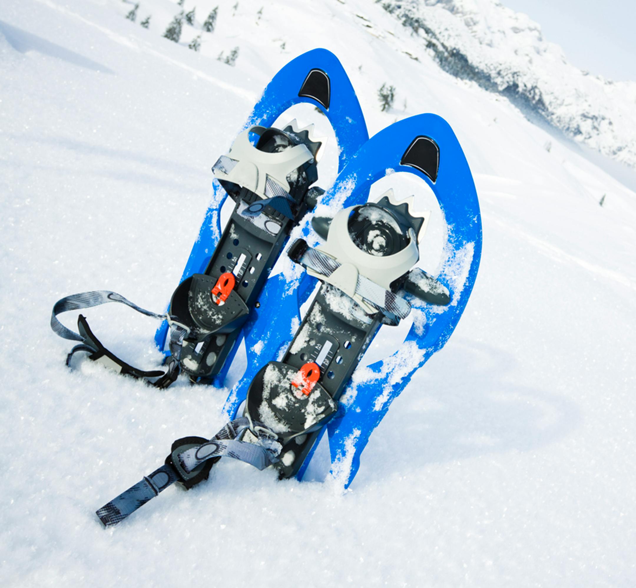 Snowshoe hikes dot the state parks' events listings.