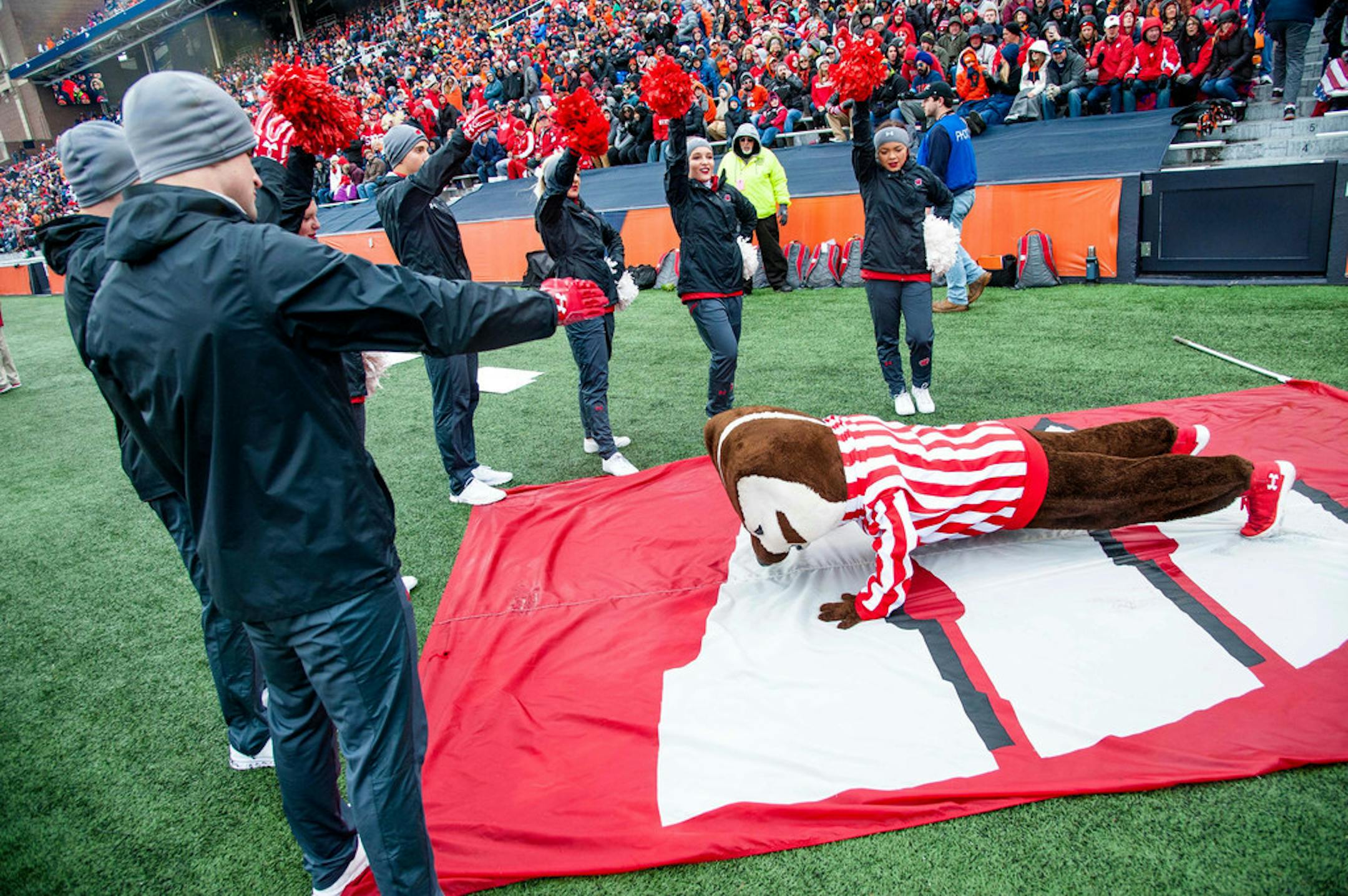Wisconsin mascot, Bucky Badger, does push ups as cheerleaders count after a Wisconsin touchdown during an NCAA college football game against Illinois Saturday, Oct. 28, 2017 at Memorial Stadium in Champaign, Ill. Wisconsin defeated Illinois 24-10