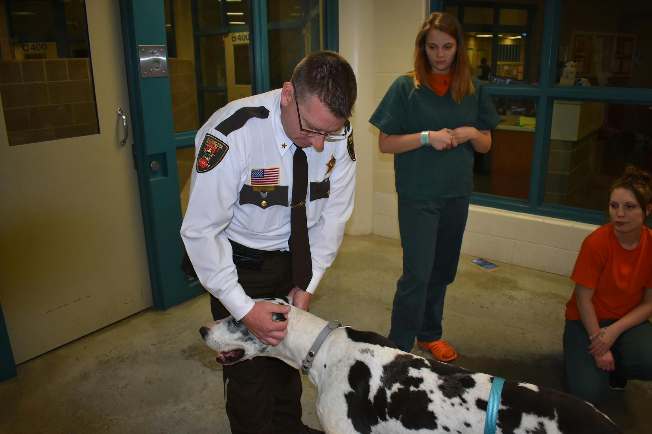 The Washington County Sheriff's Office is using dogs from a local sanctuary as therapy dogs at the jail.