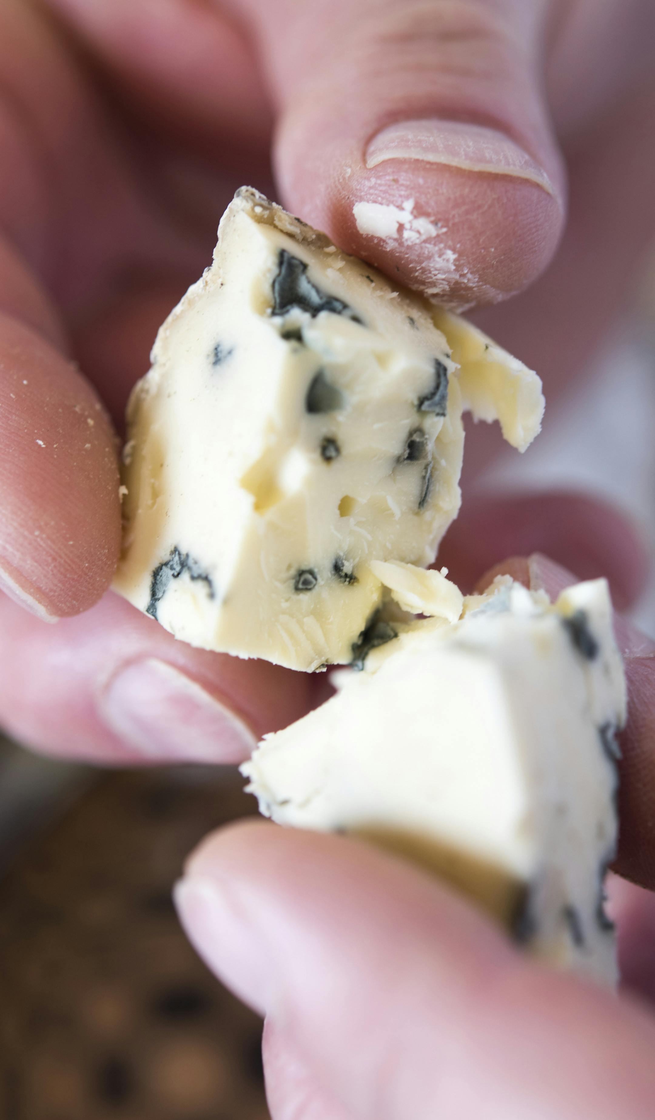 The Bayley Hazen Blue, an award-winning cheese at Jasper Hill Farm in Greensboro, Vt., Nov. 18, 2016. The Kehler brothers have a modern two-room laboratory to tinker with their cheeses, and Jasper Hill has become a hub for other cheese makers seeking help and insight. (Caleb Kenna/The New York Times)