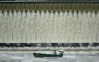 JEFF WHEELER &#x2022; jwheeler@startribune.com ST. PAUL - 5/14/07 - Fish are drawn to the turbulent waters beneath dams along the Mississippi River, a