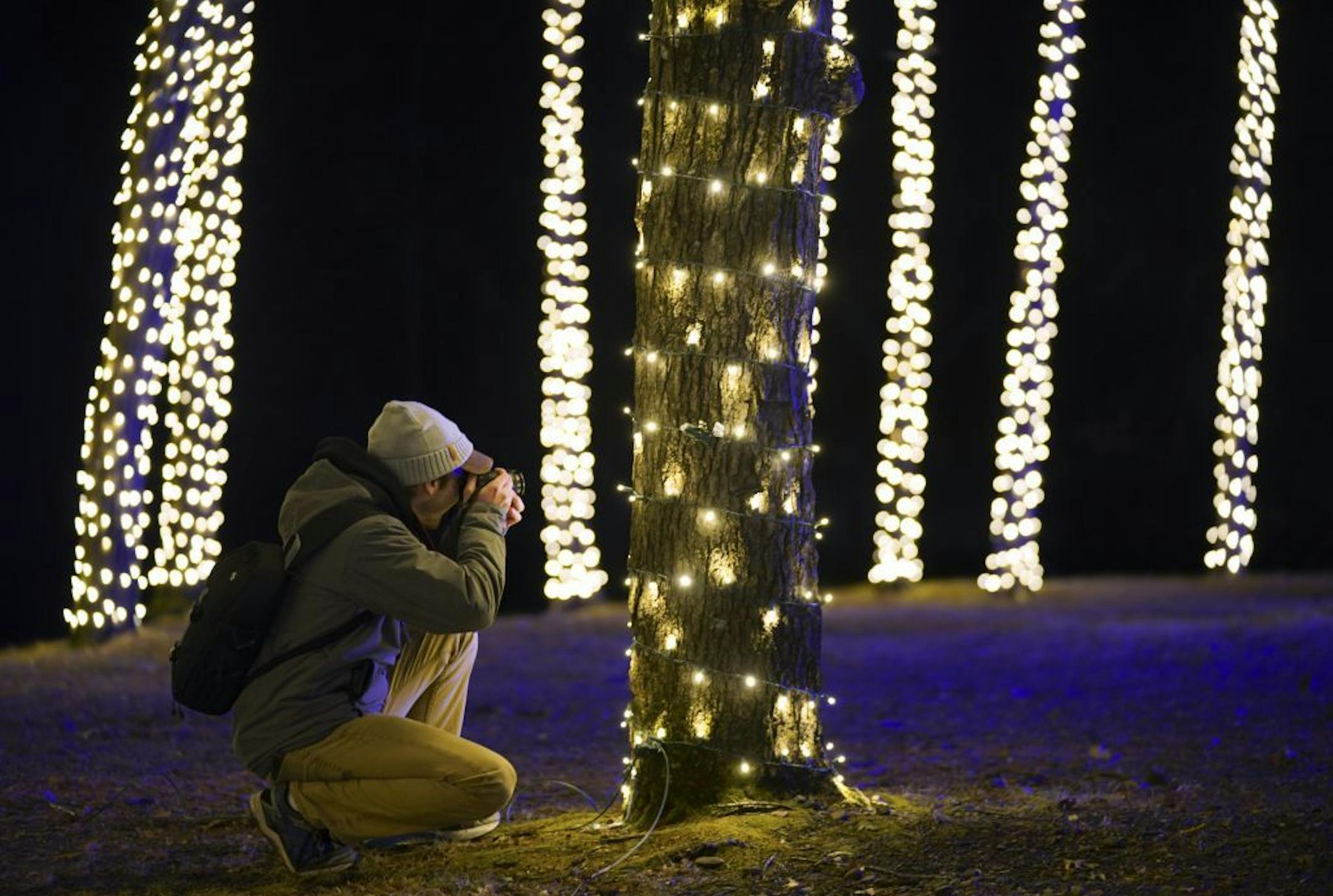 Photographing the lights on the preview night.