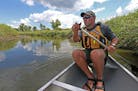Todd Moraski, Recreation Specialist with the Anoka County Parks and Recreation, paddled down the Rice Creek Chain. One of north metro unheralded ameni
