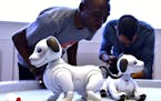 Robotic puppy aibo. MUST CREDIT: Japan News-Yomiuri