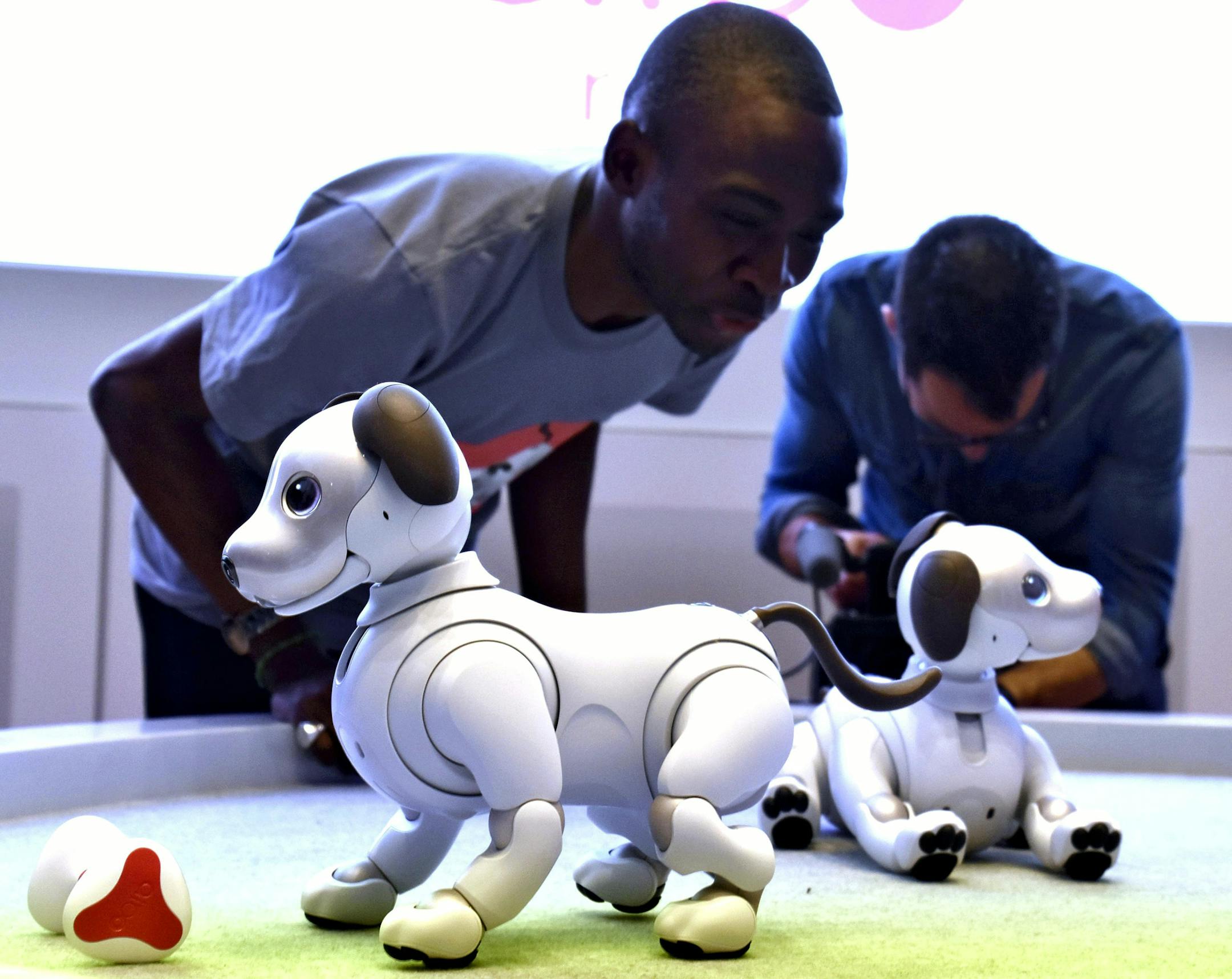 Robotic puppy aibo. MUST CREDIT: Japan News-Yomiuri