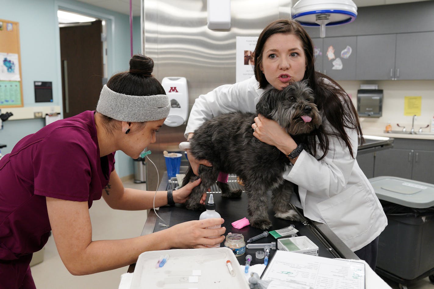 Veterinary tech Katrina Nieves, left, drew blood from Bailey, a Tibetan terrier, as fourth-year vet student Justine Jones comforted her Tuesday in the University of Minnesota Veterinary Medical Center's primary care treatment room -- an area affected by administrative cuts.