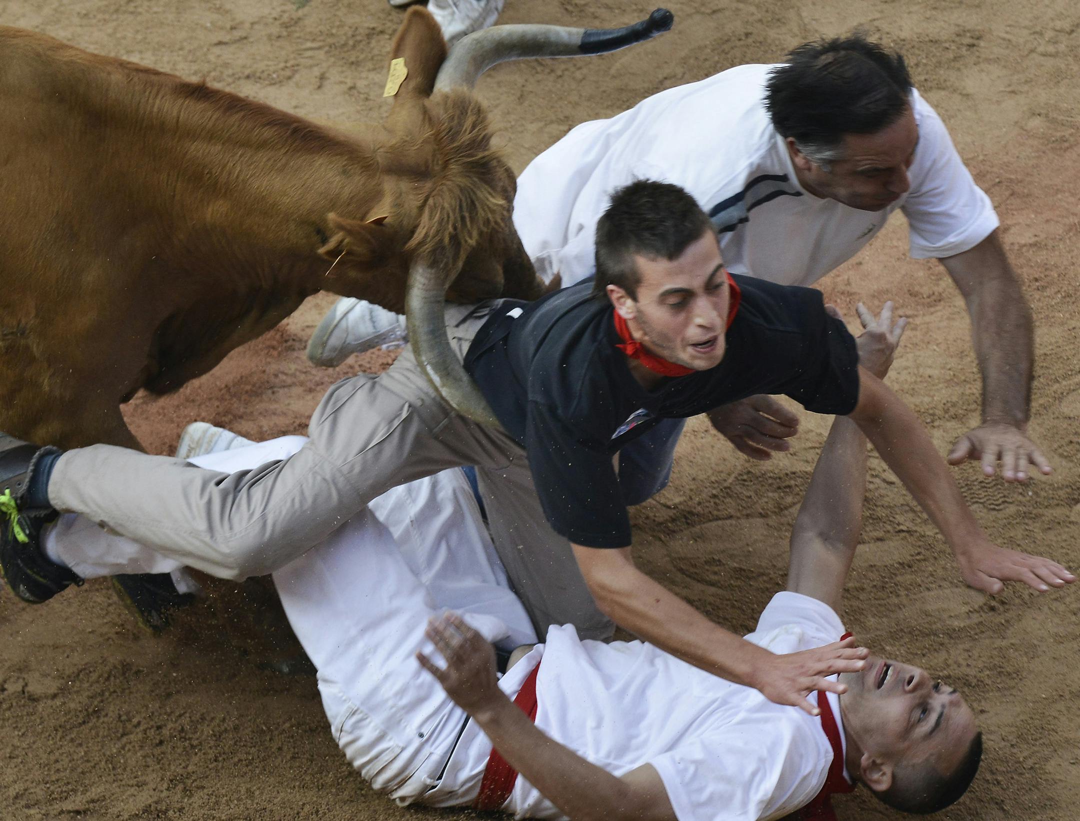 The San Fermin festival in Pamplona, Spain, has inspired plans for bull runs in 10 U.S. cities, including Shakopee.