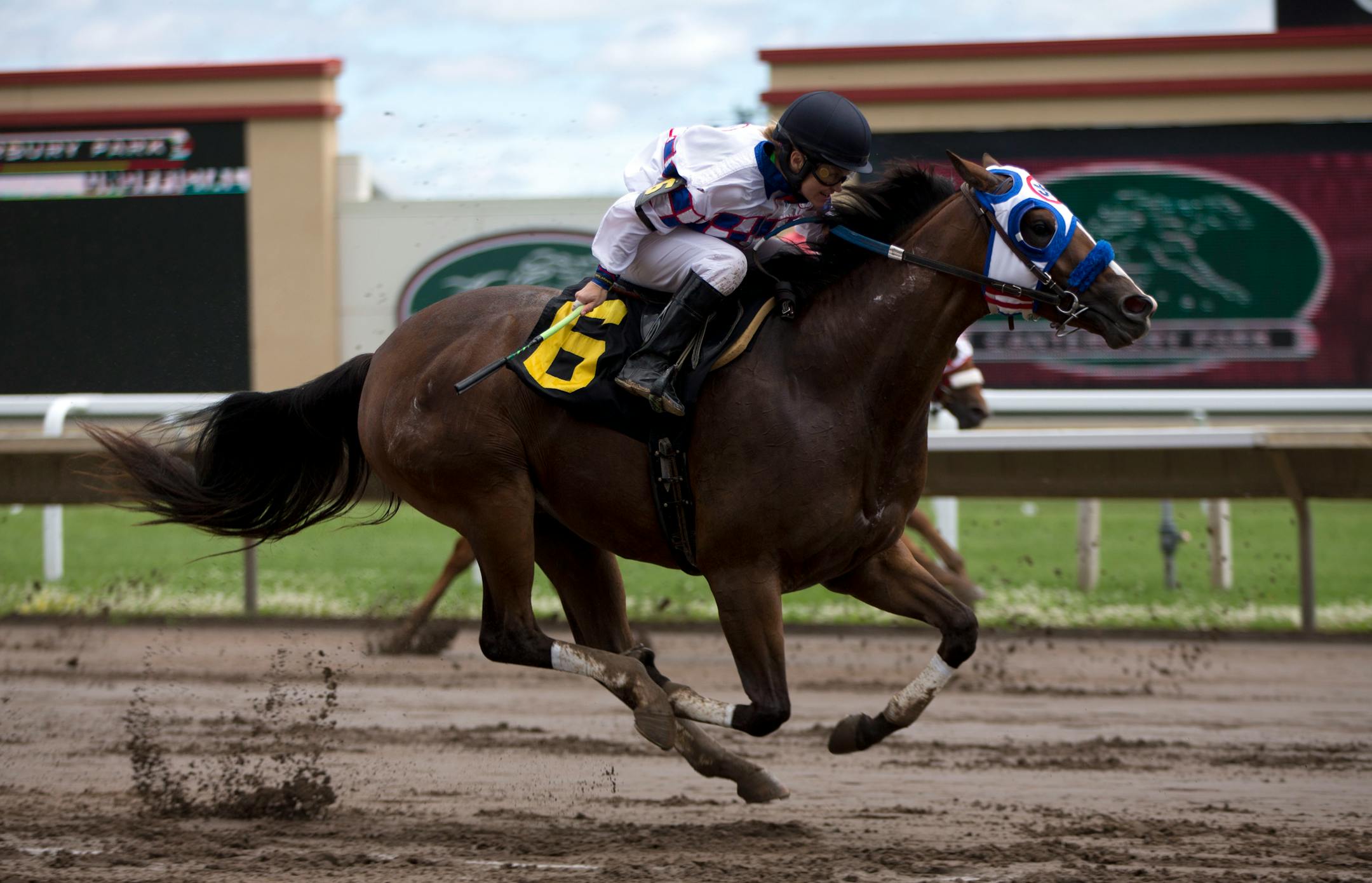 A quarter horse and jockey sprint by the Canterbury Park grandstand during a race in 2021. Estimated purses for the full quarter horse stakes program will be $458,200 this season, compared to $655,600 paid last year.