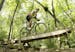 Courtesy of Dakota County Lebanon Hills has become a mecca for mountain bikers as a result of a collaboration between a mountain bike organization and