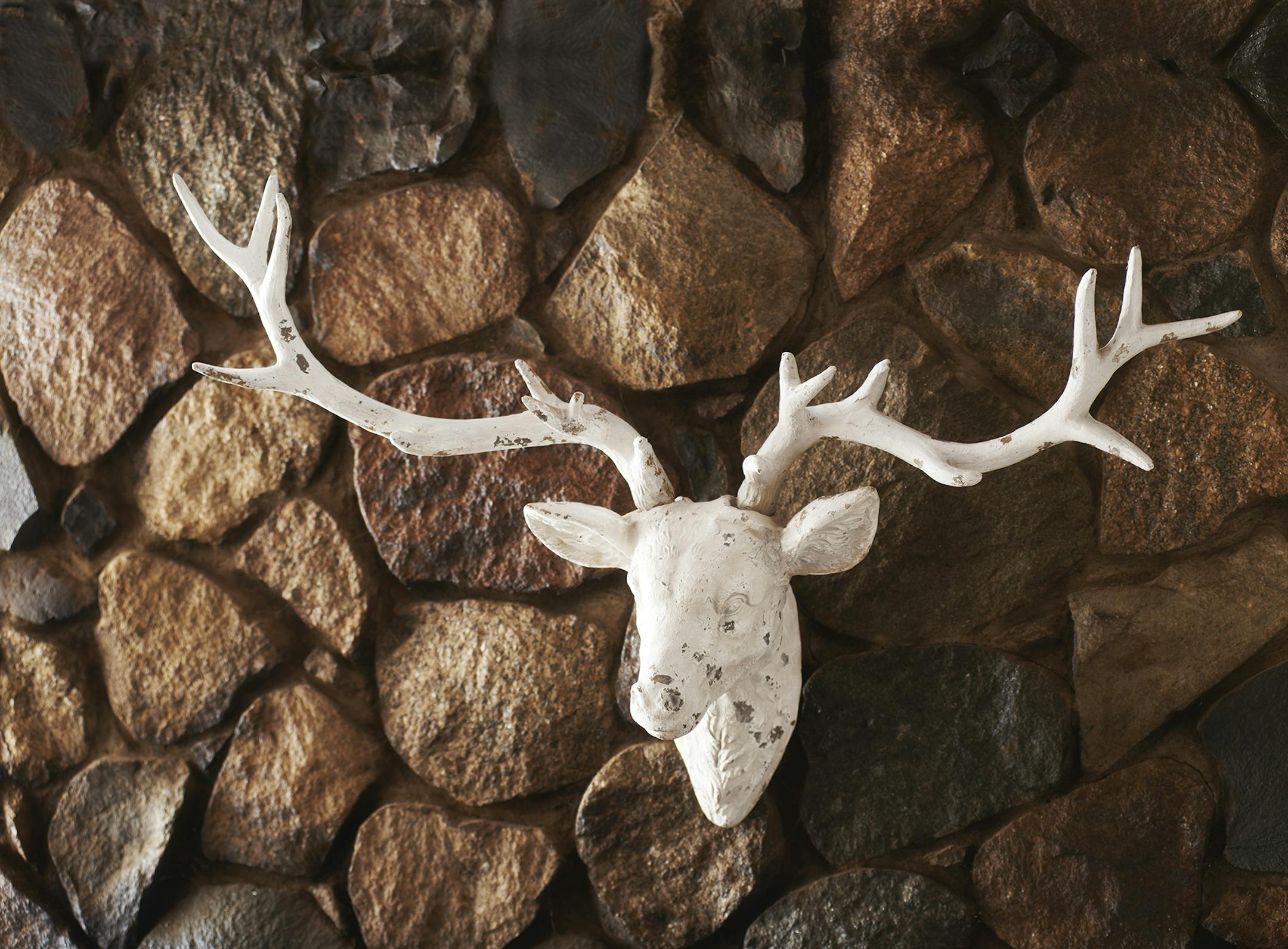 Faux deer mount from Midwest-CBK