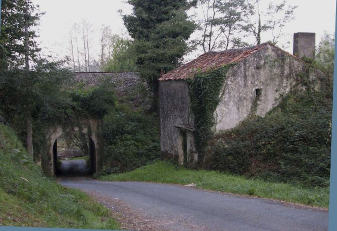 #182: Another stretch of the Camino.